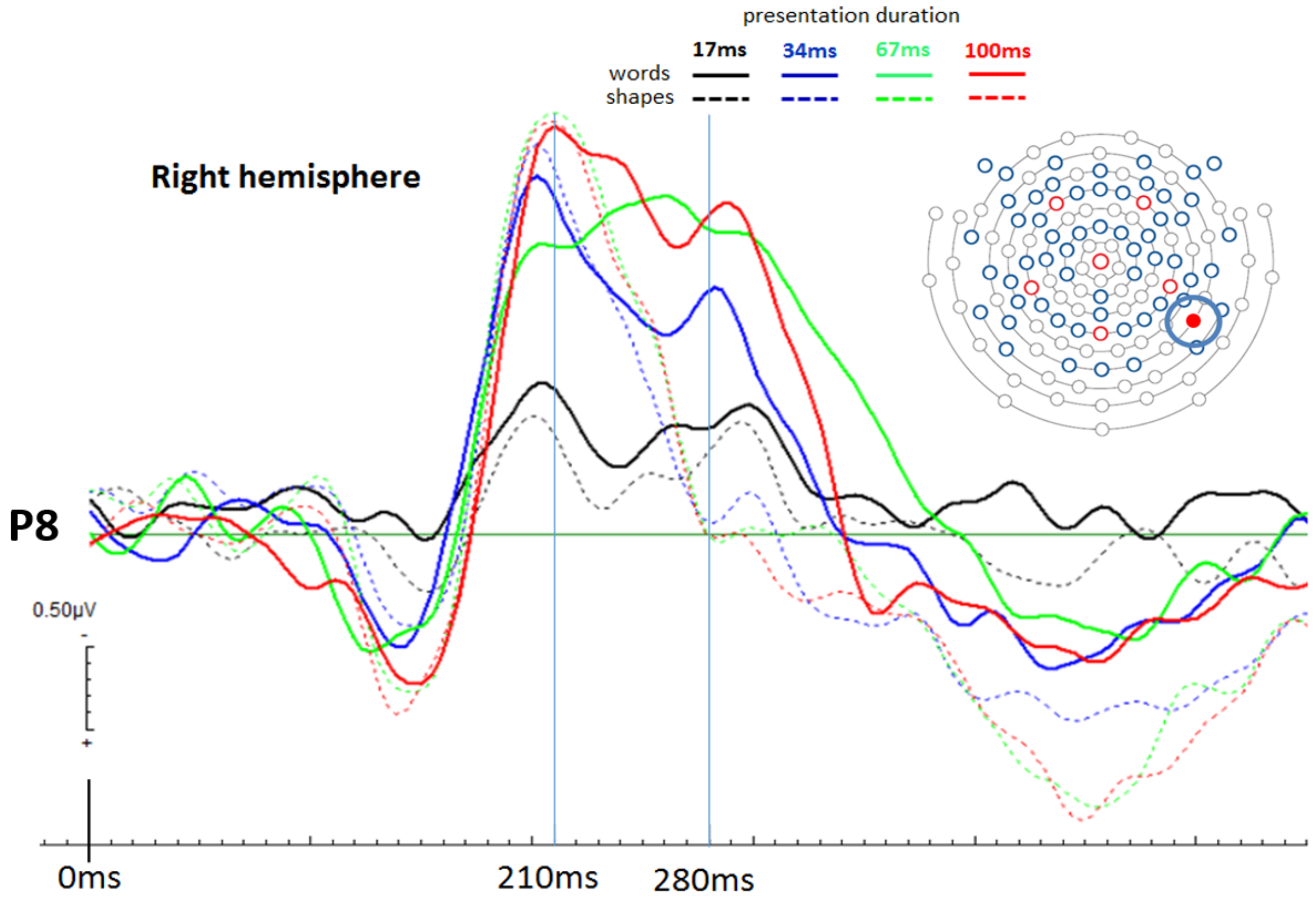 Brainsci 12 00464 g005