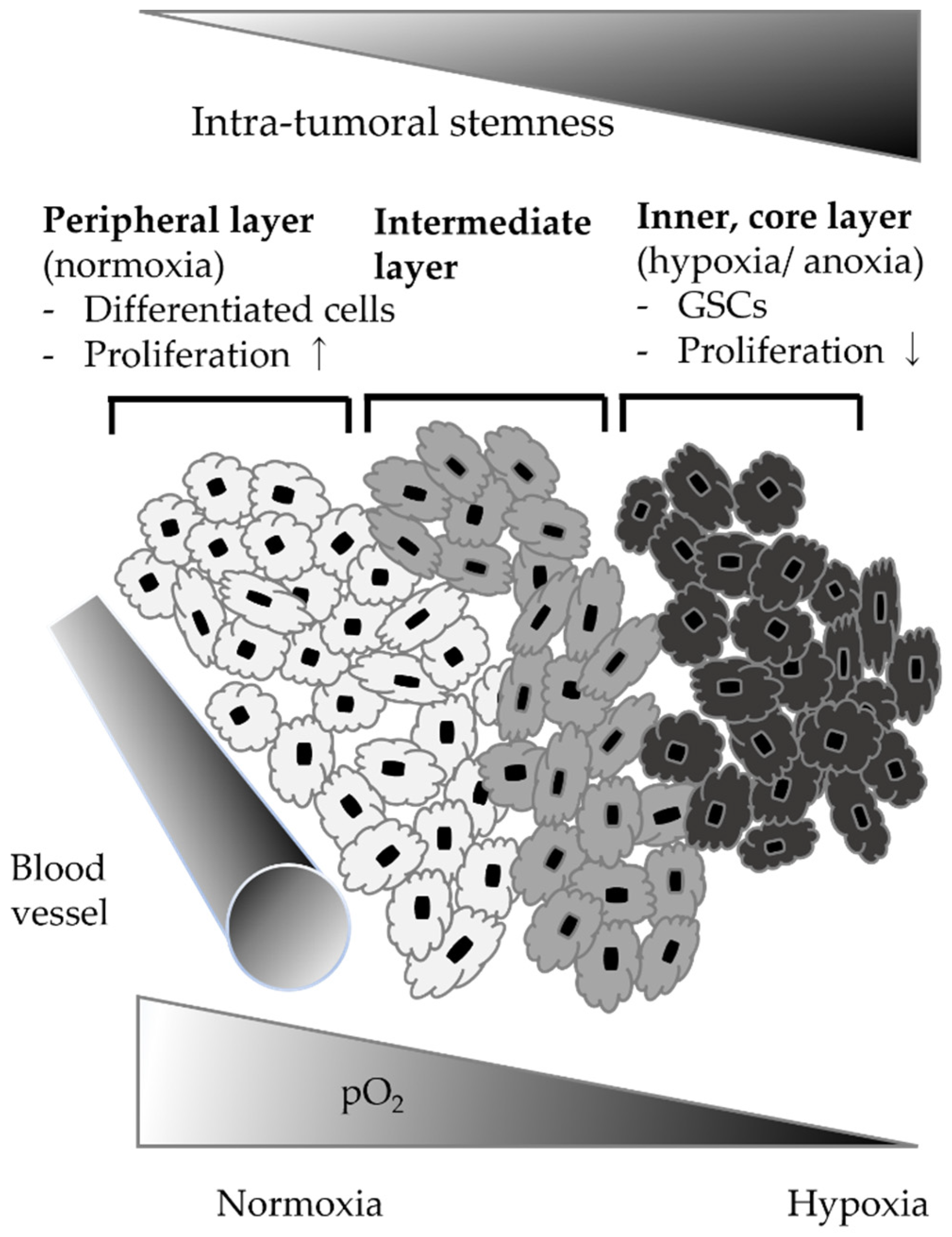 Brainsci 12 00473 g001