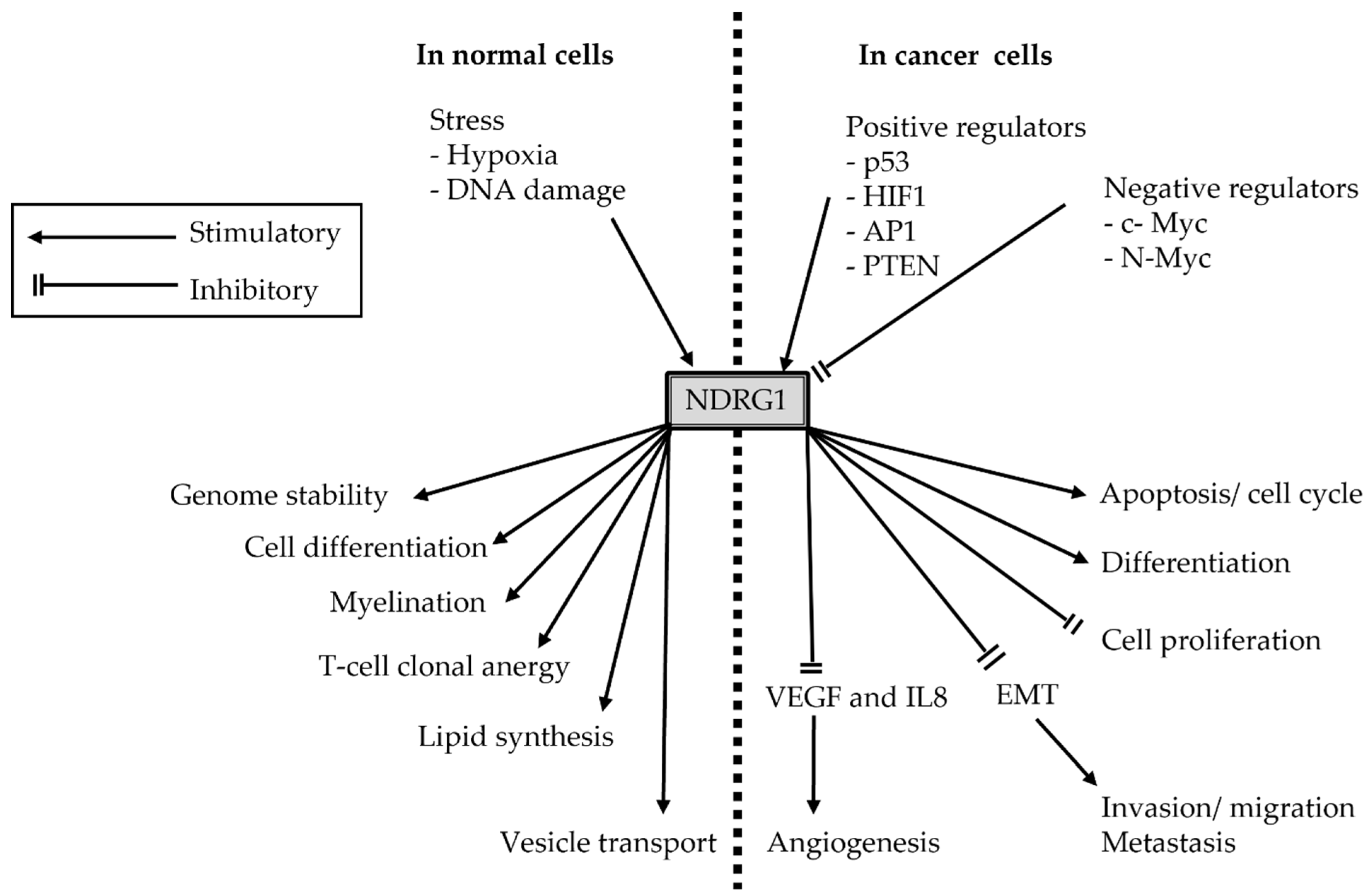 Brainsci 12 00473 g002