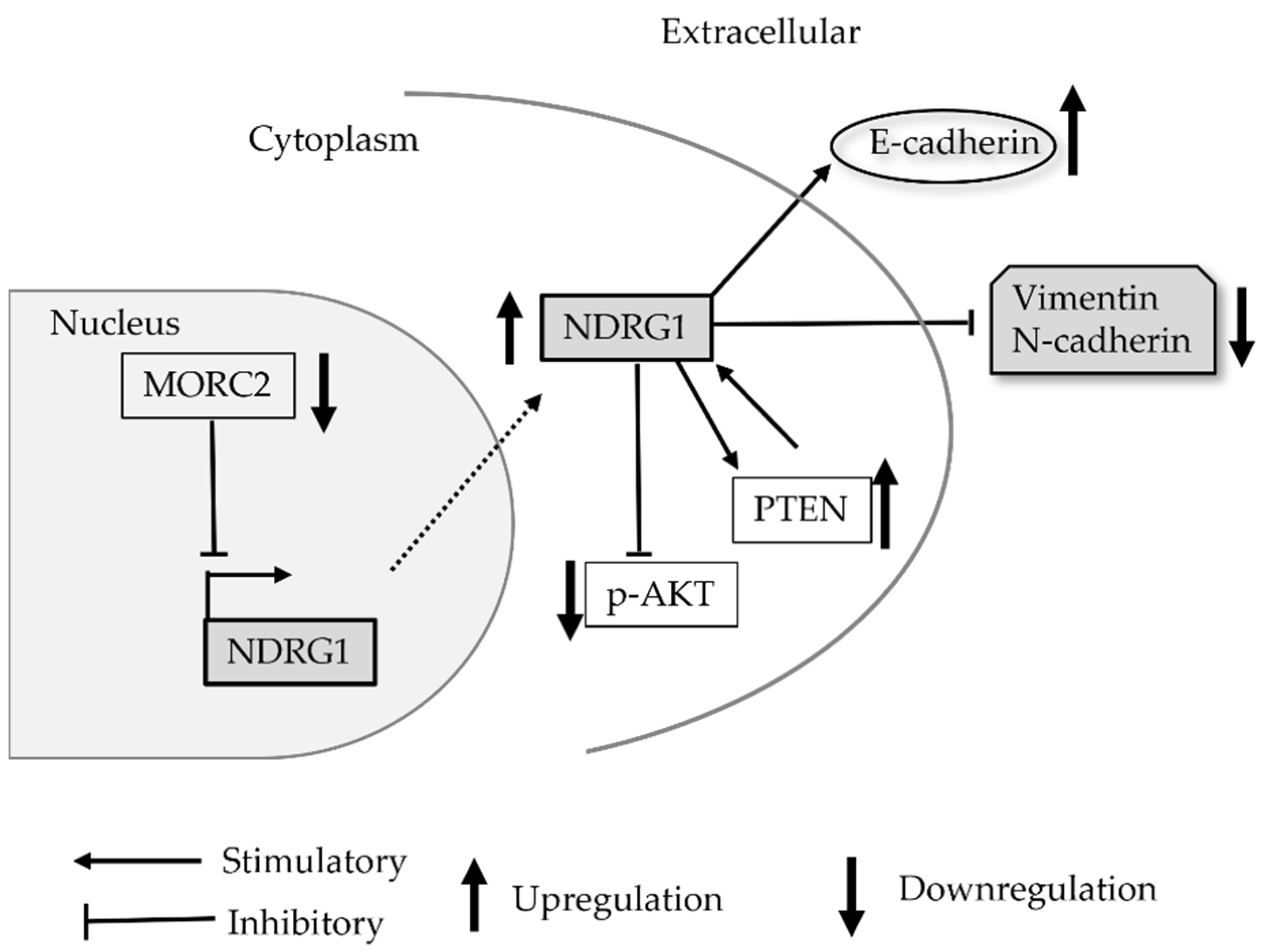 Brainsci 12 00473 g003