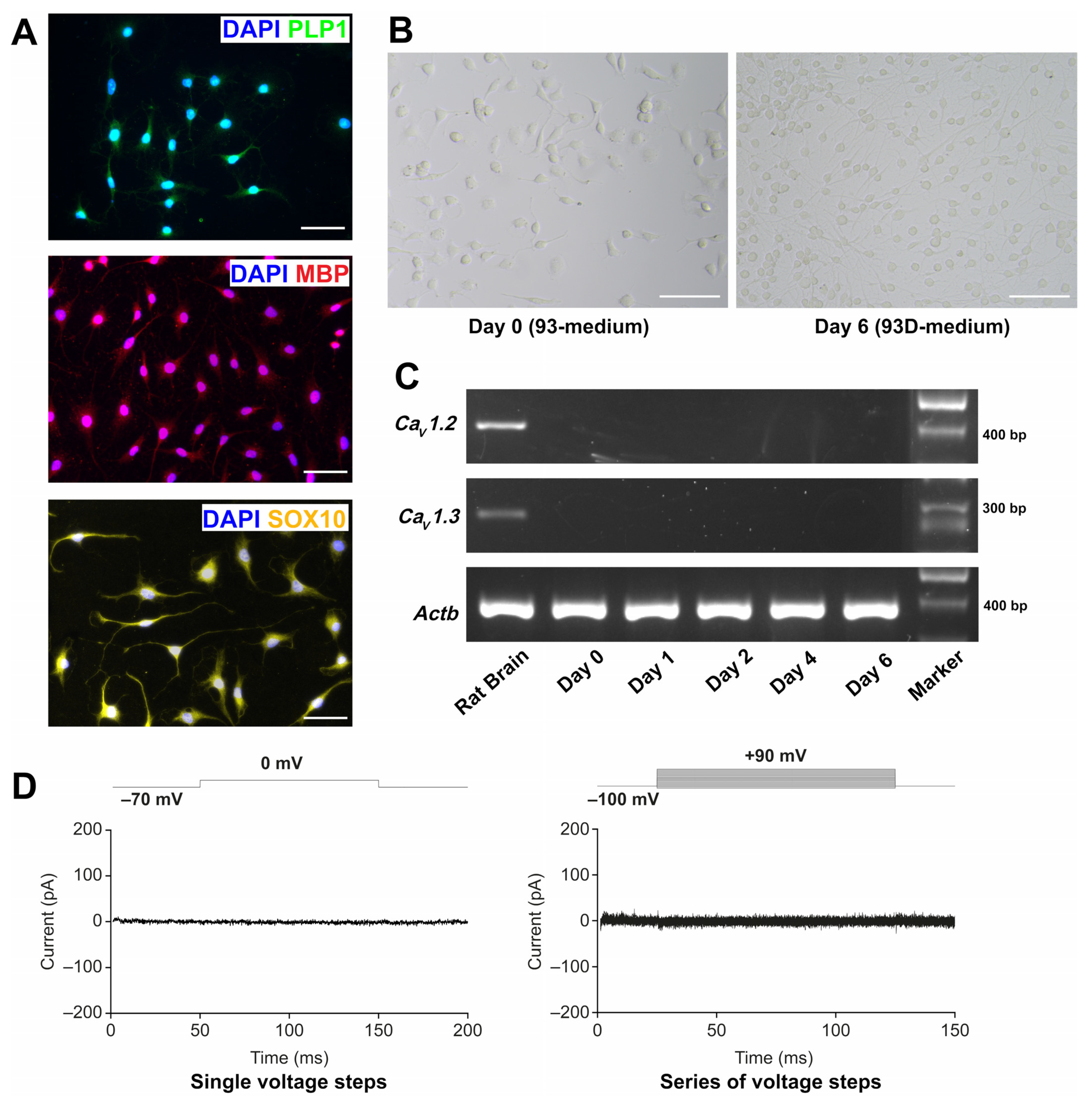 Brainsci 12 00476 g001