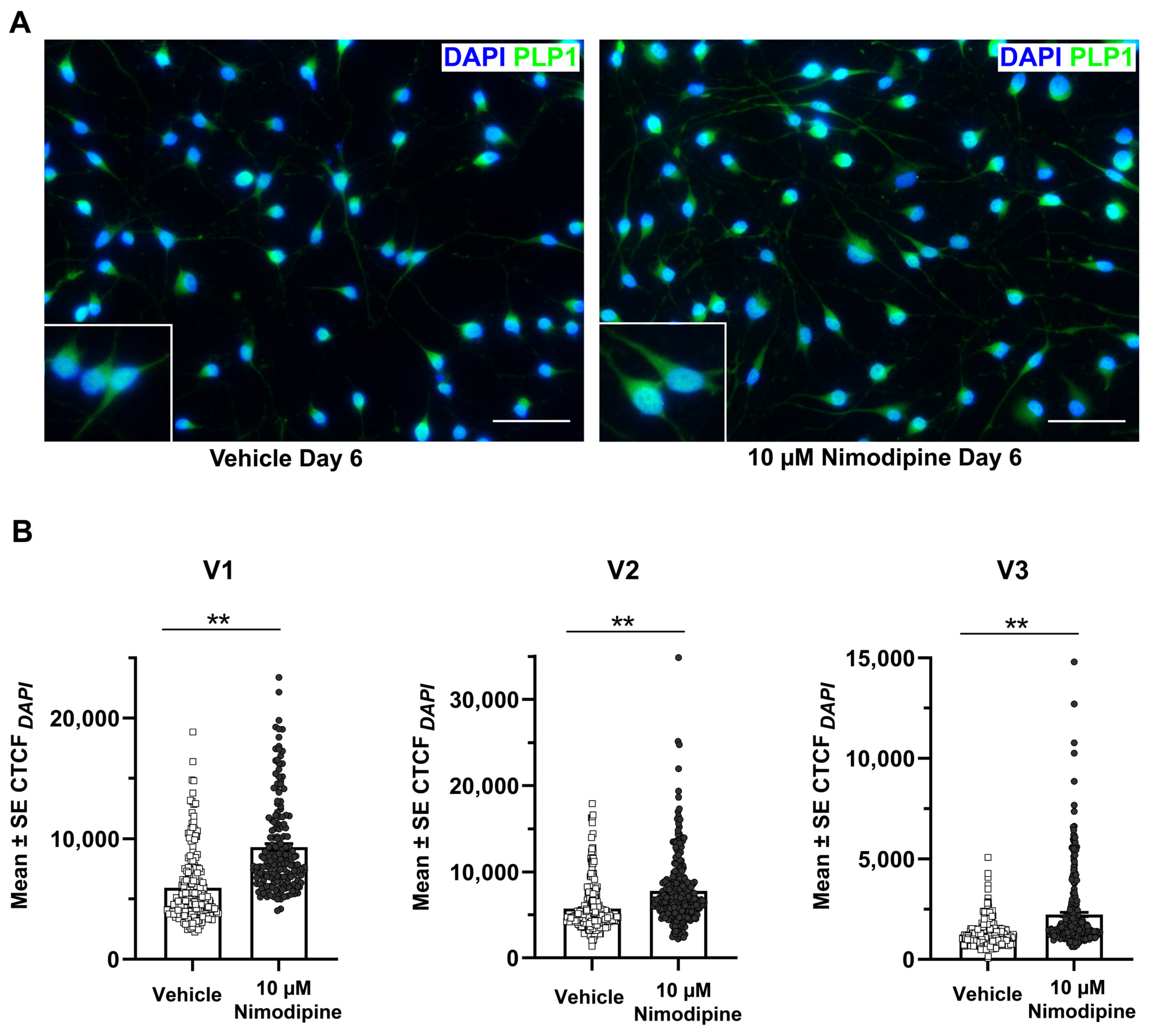 Brainsci 12 00476 g003