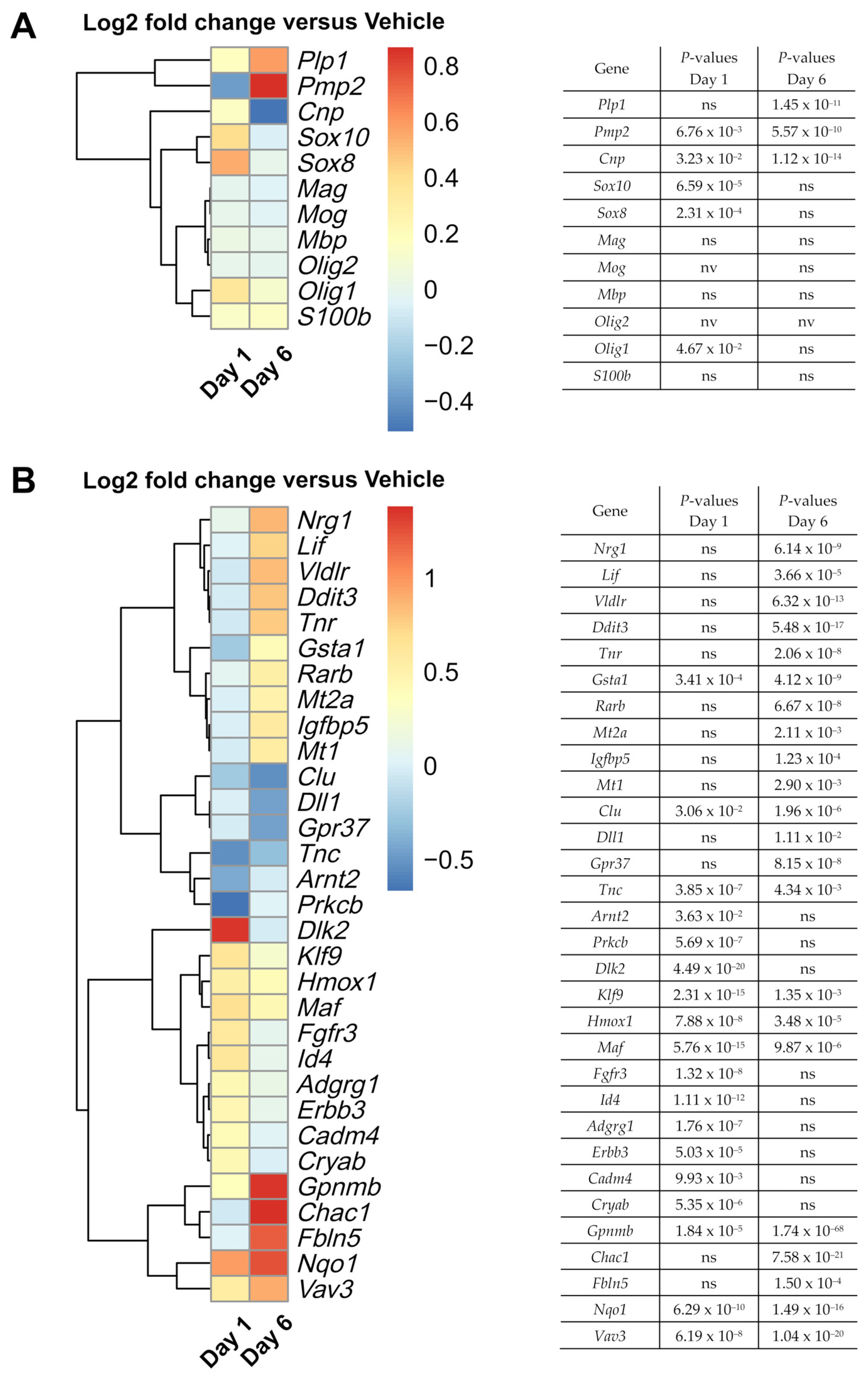 Brainsci 12 00476 g004