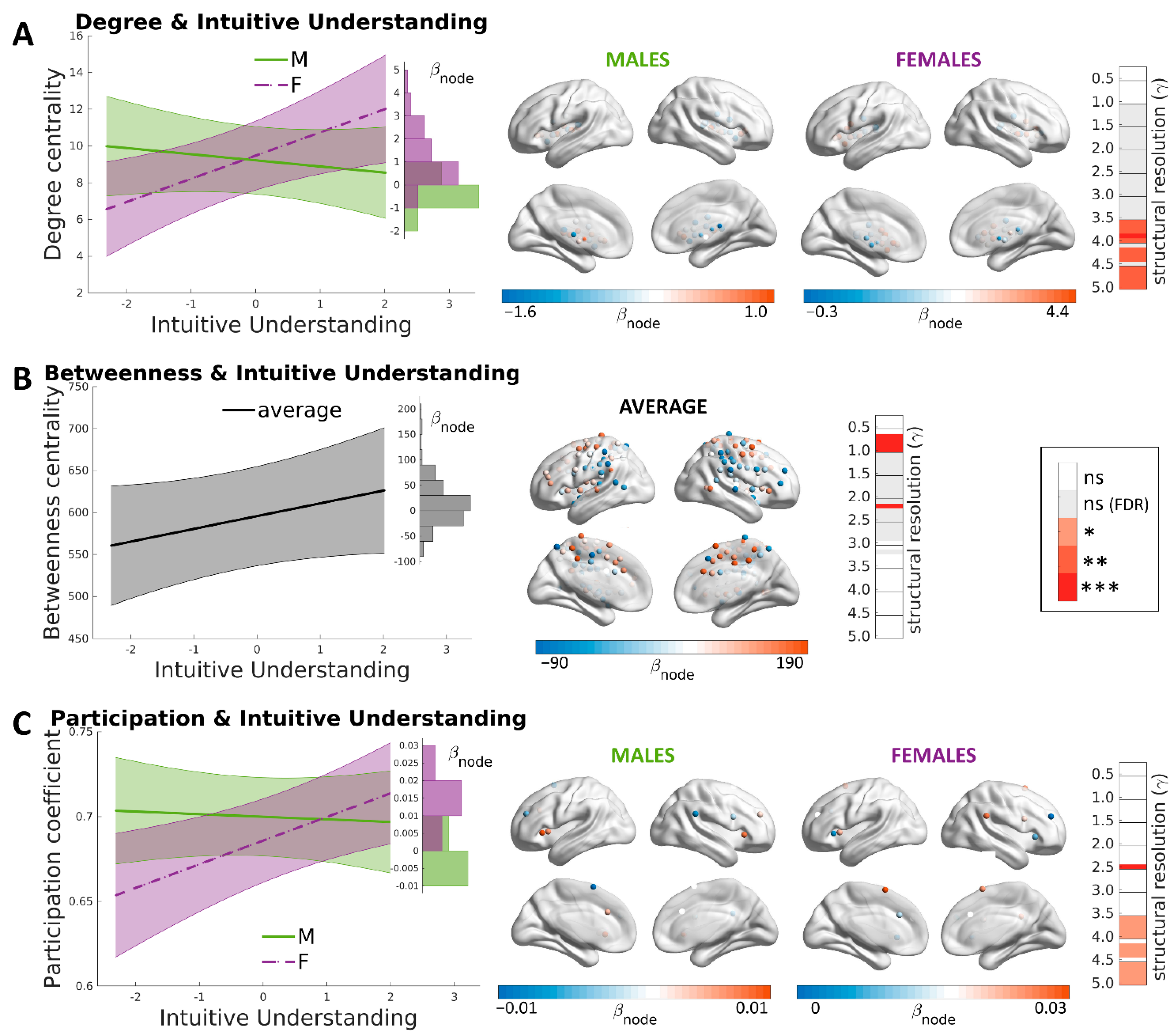 Brainsci 12 00477 g004