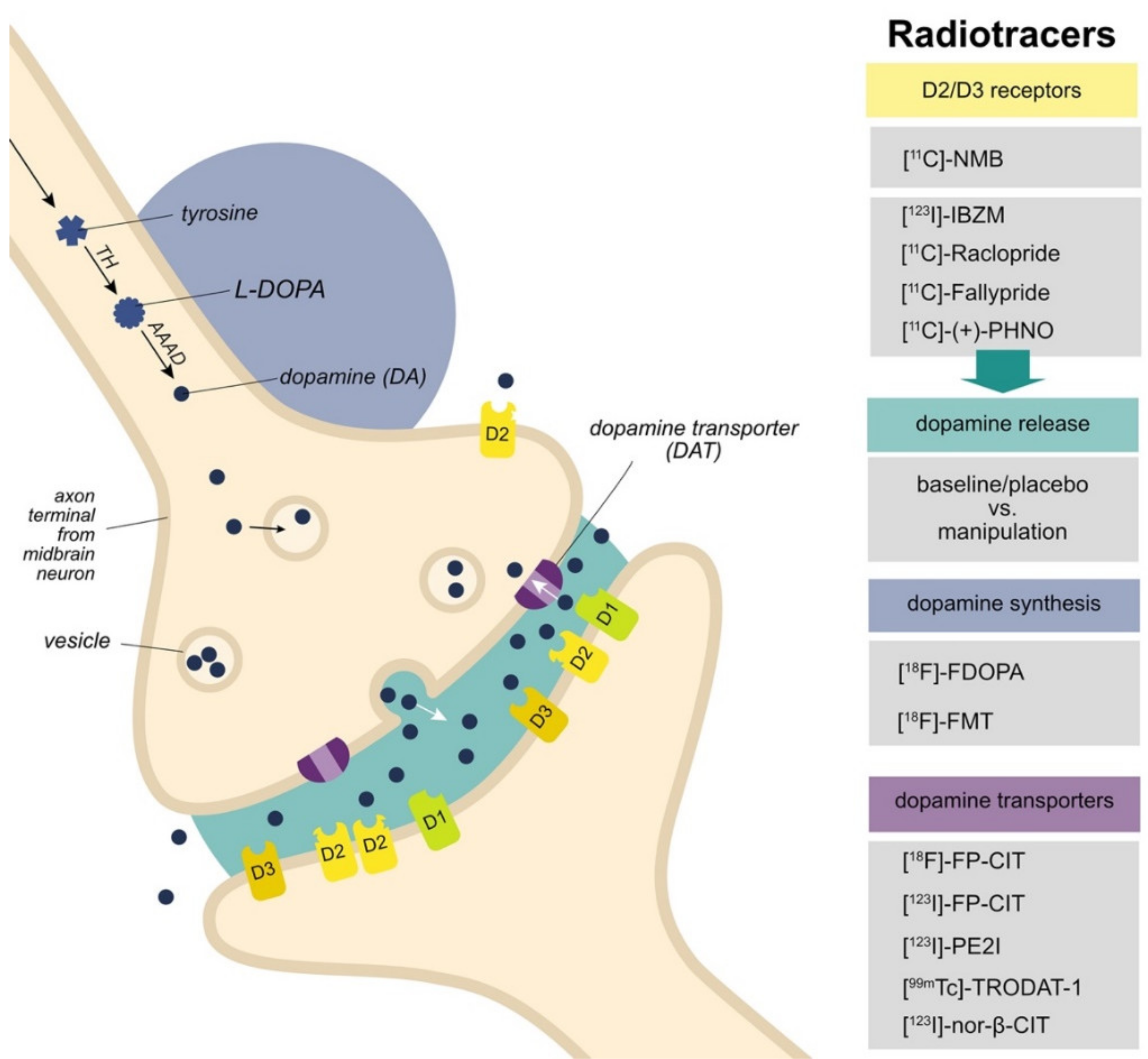 Brainsci 12 00486 g001 Brainsci 12 00486 g001