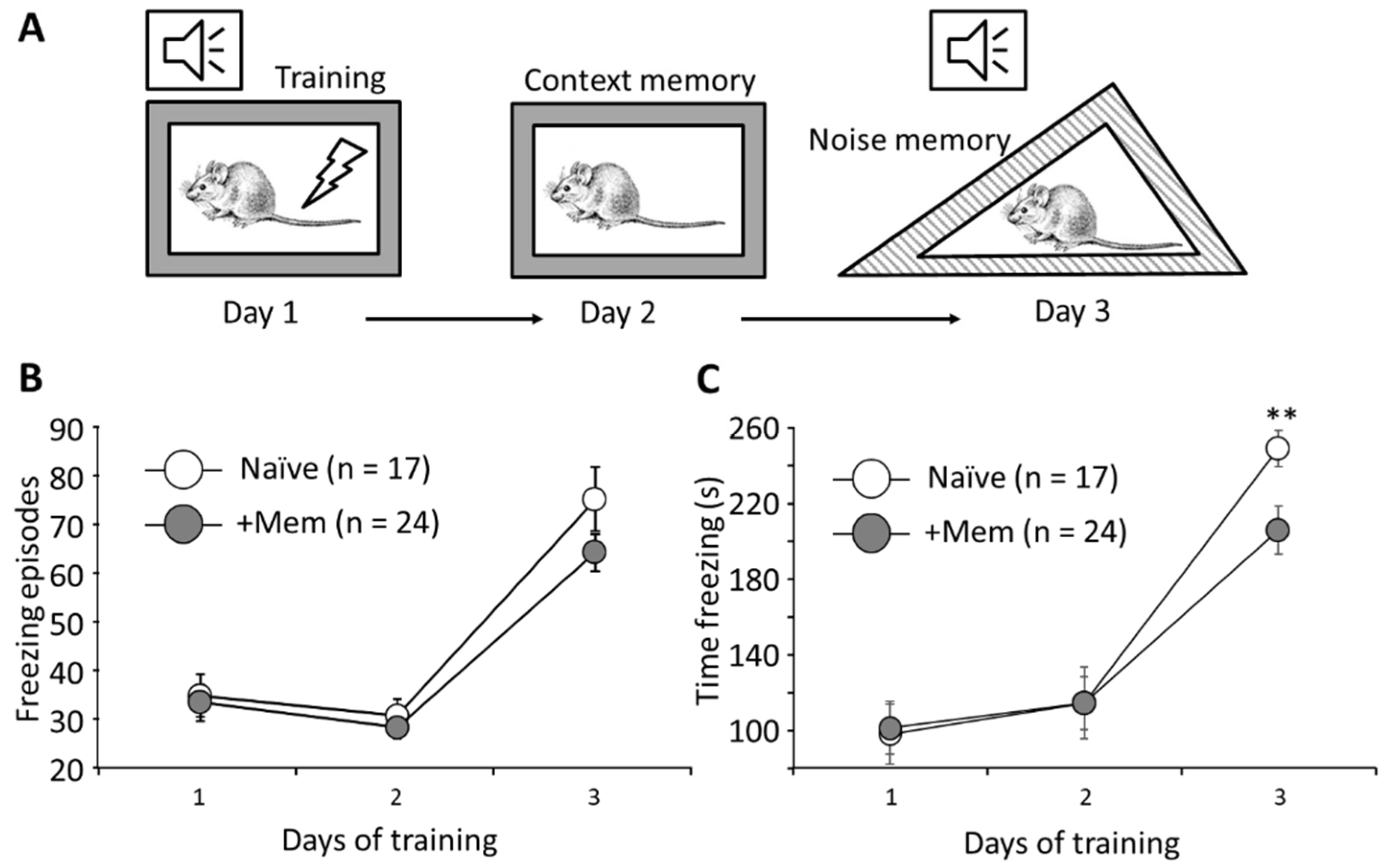 Brainsci 12 00495 g002