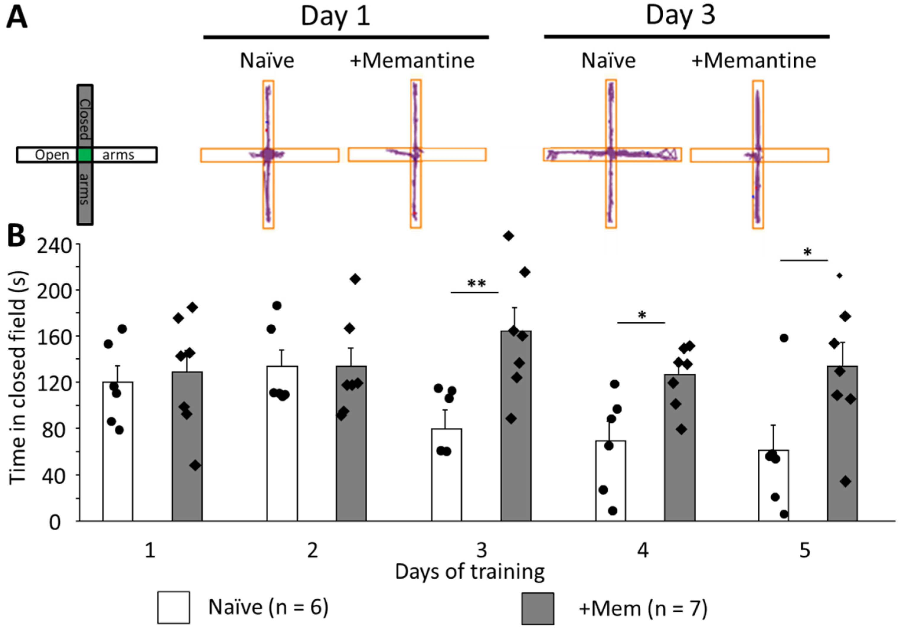 Brainsci 12 00495 g003