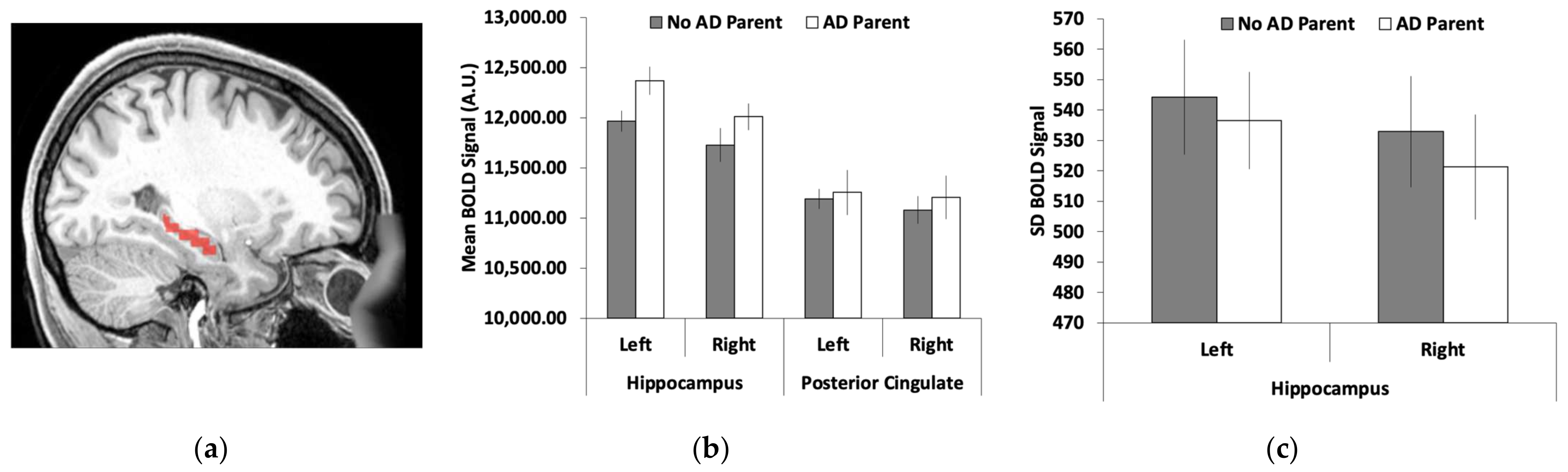 Brainsci 12 00496 g001