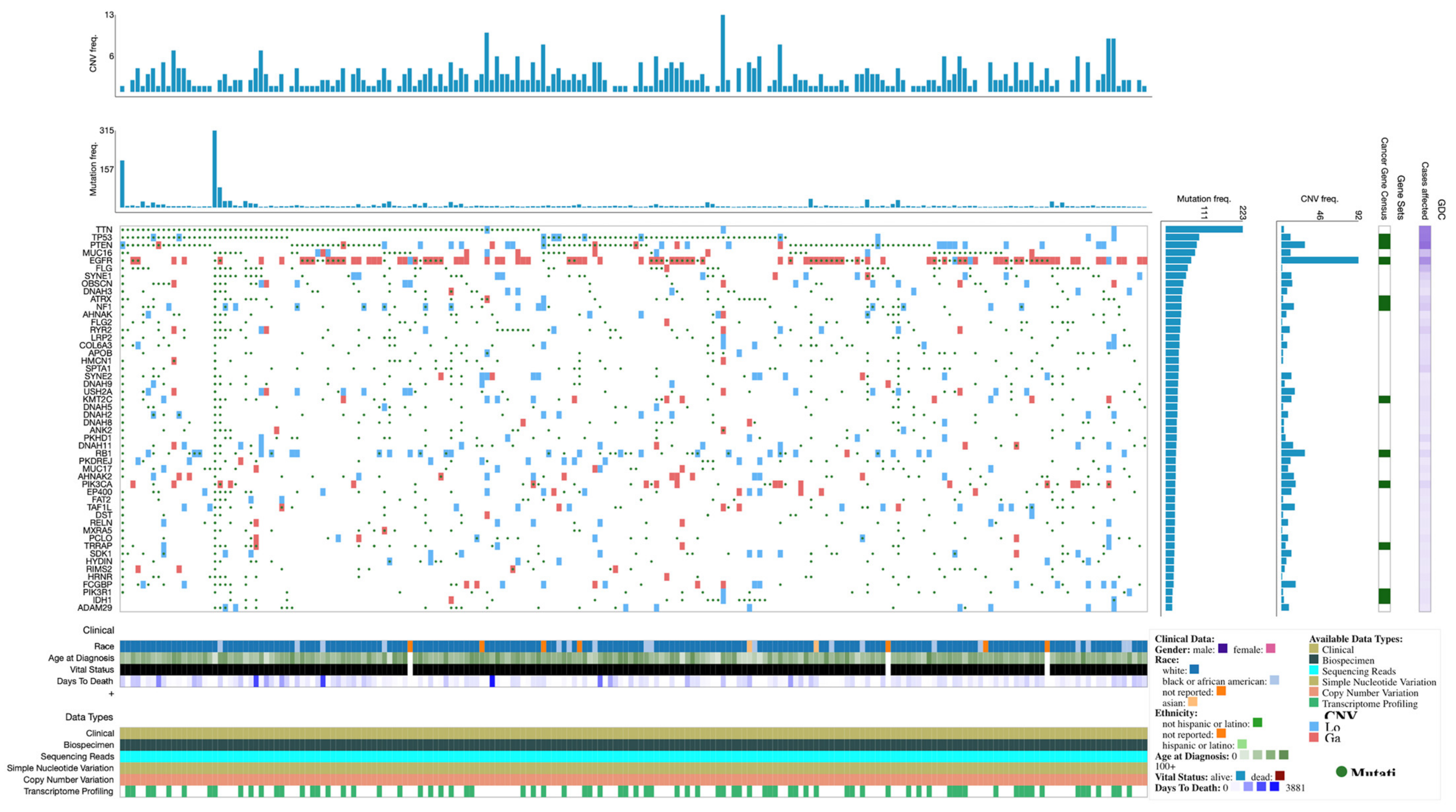 Brainsci 12 00501 g002 Brainsci 12 00501 g002