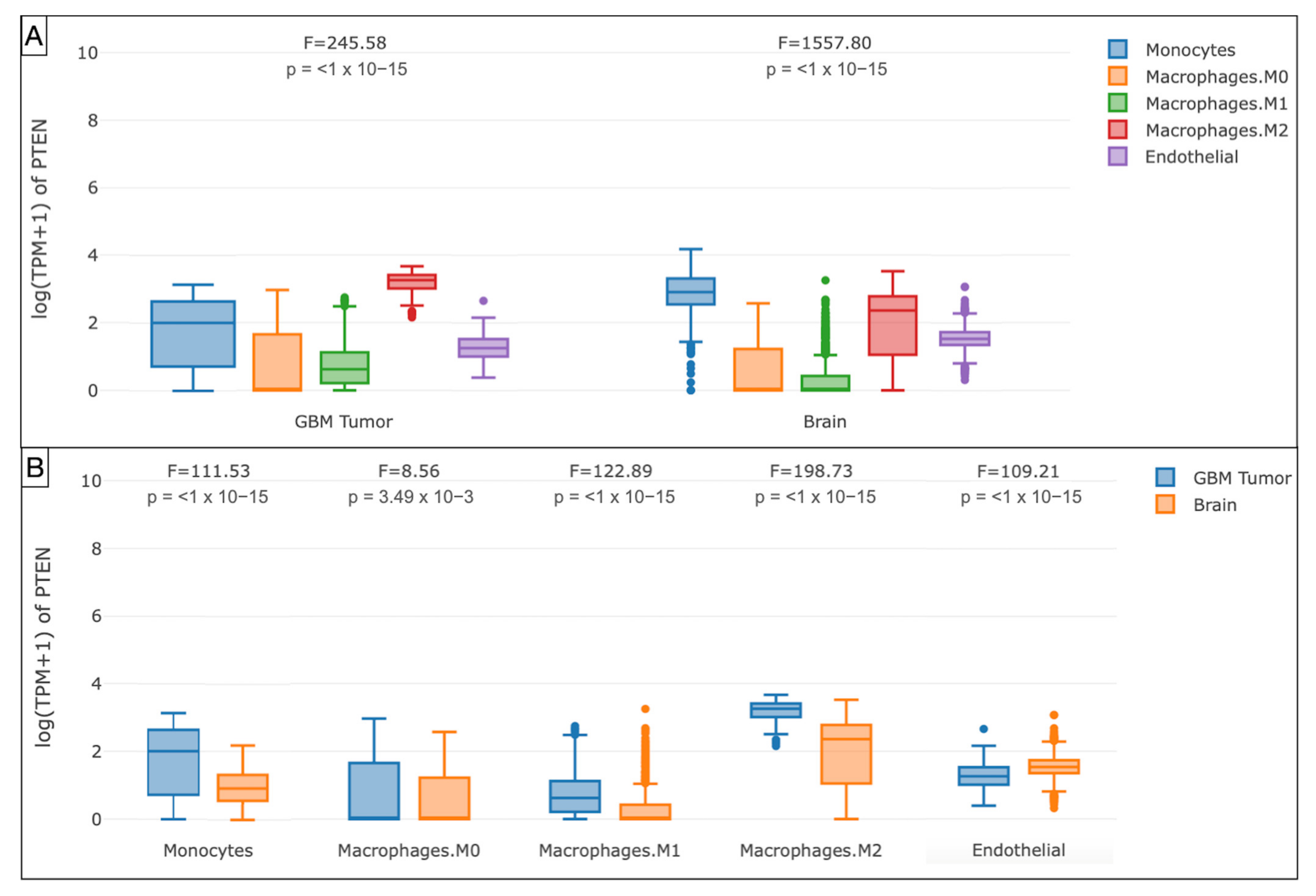 Brainsci 12 00501 g008 Brainsci 12 00501 g008