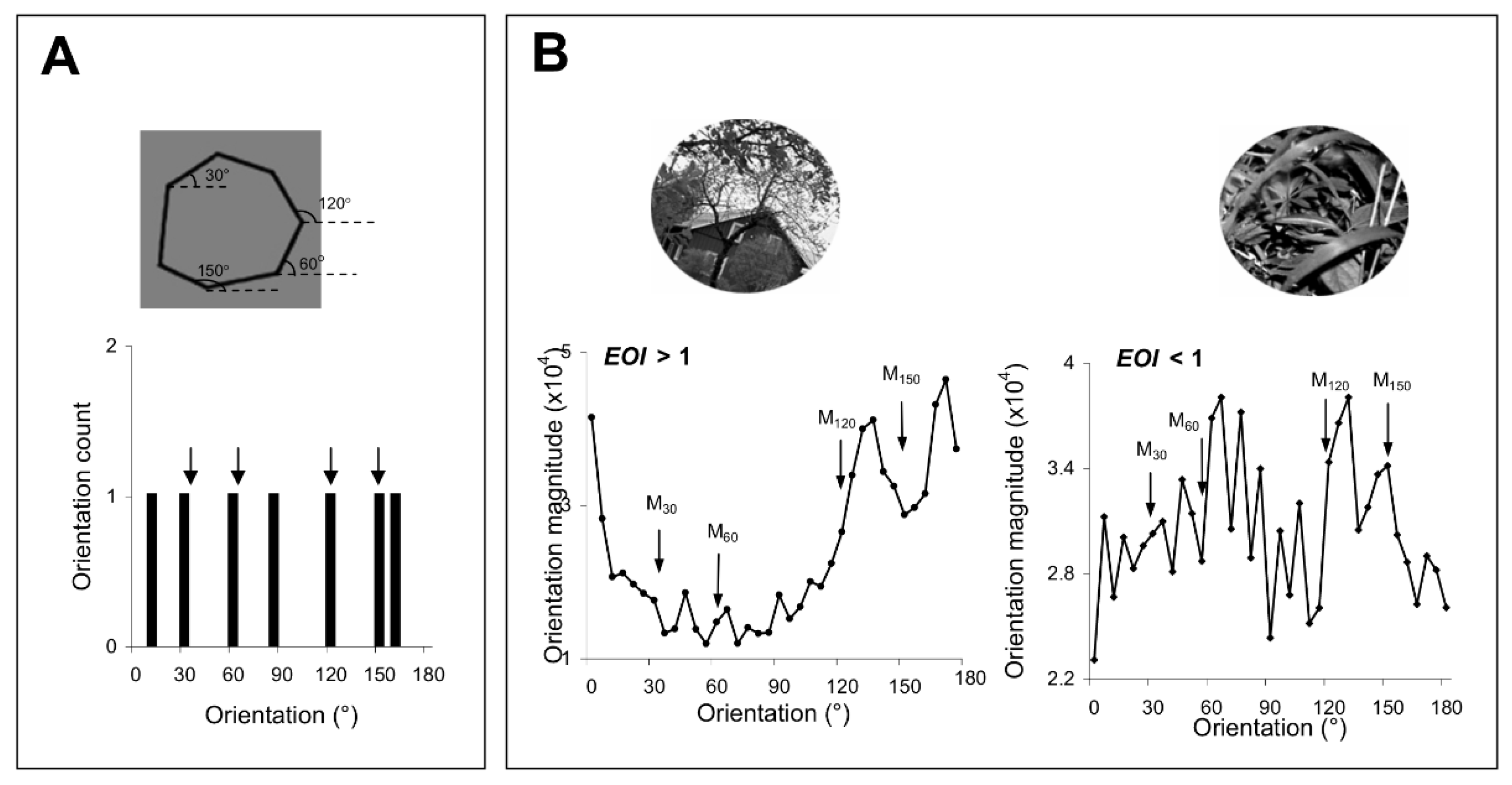 Brainsci 12 00508 g002