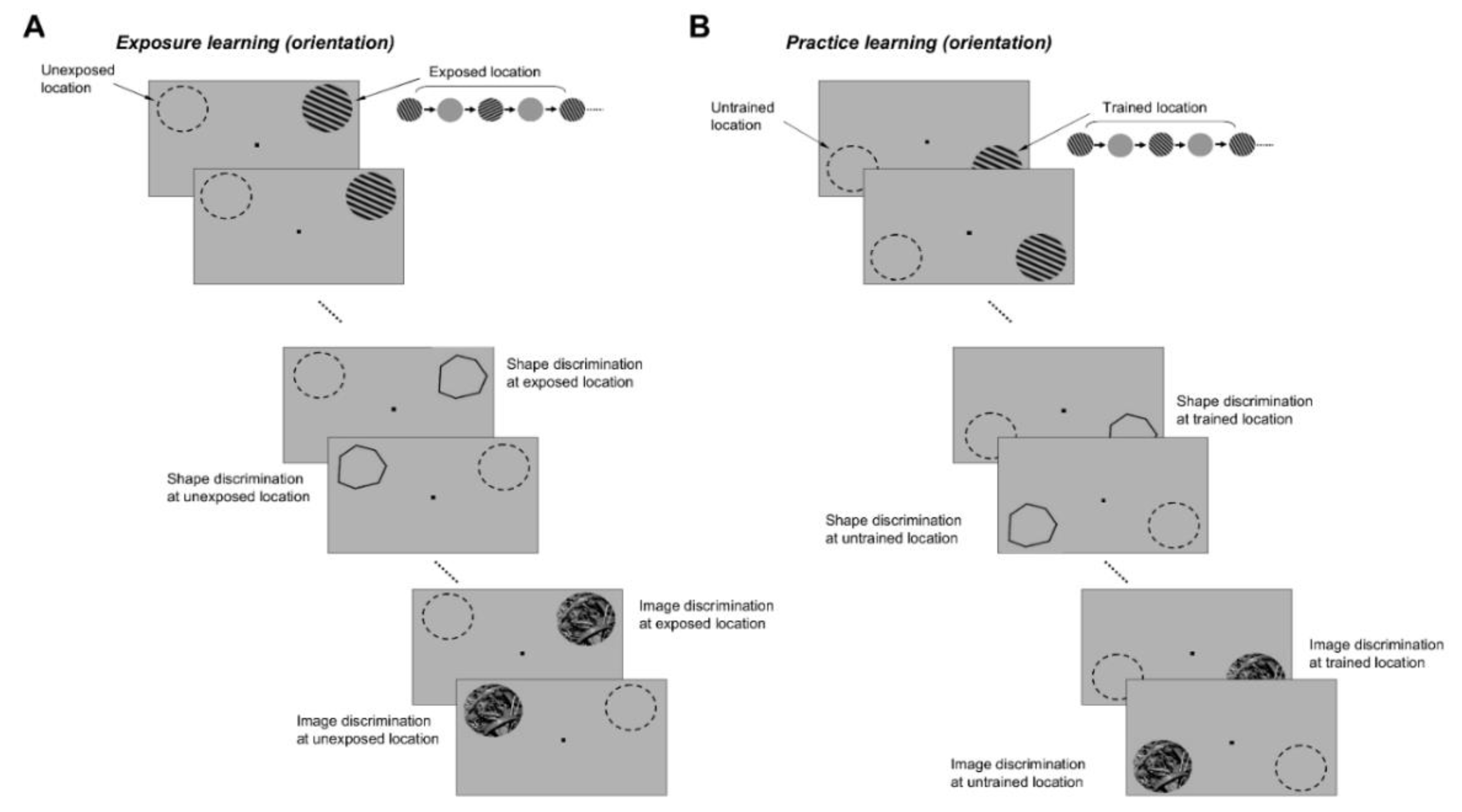 Brainsci 12 00508 g007