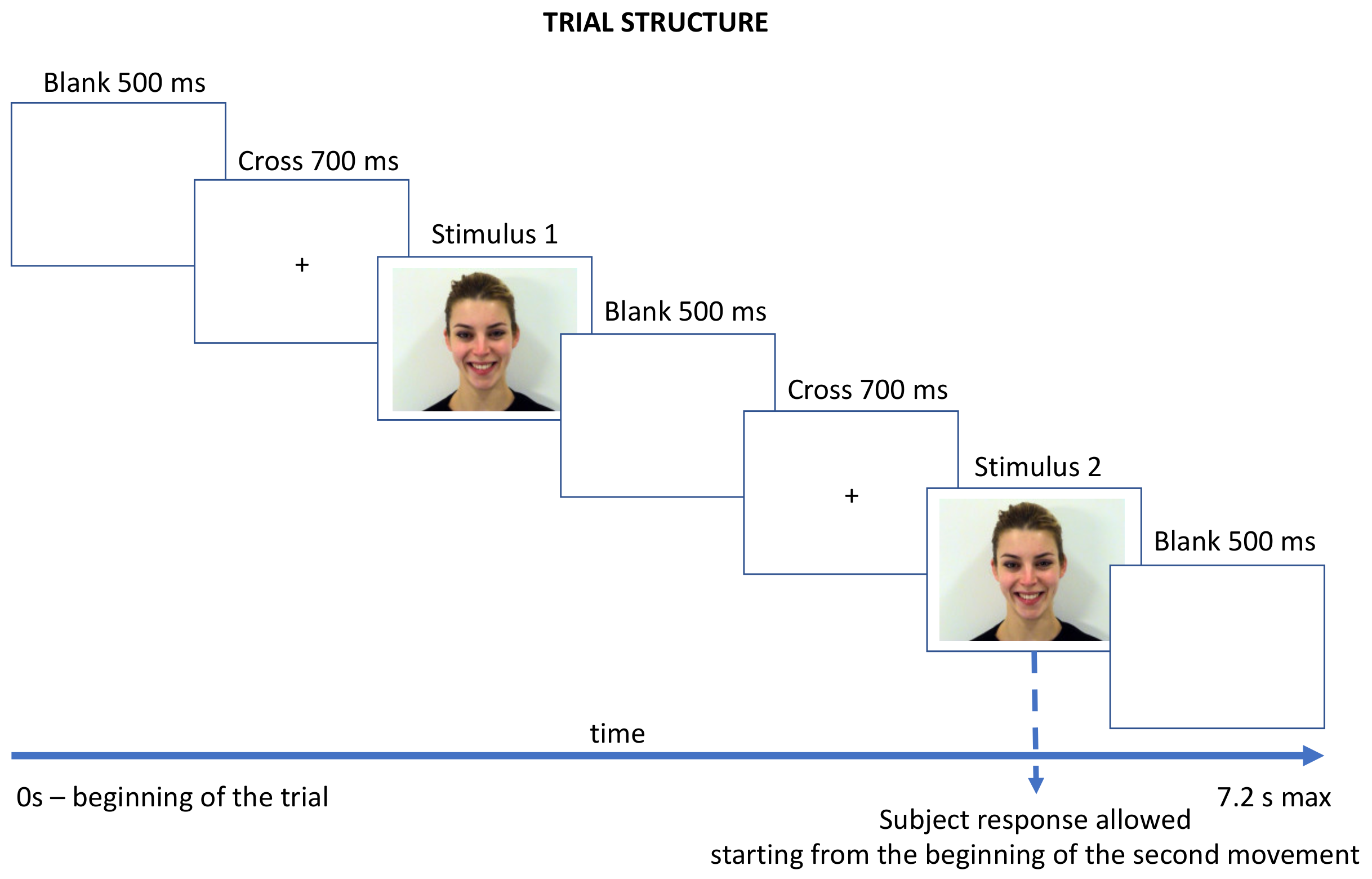 Brainsci 12 00516 g002