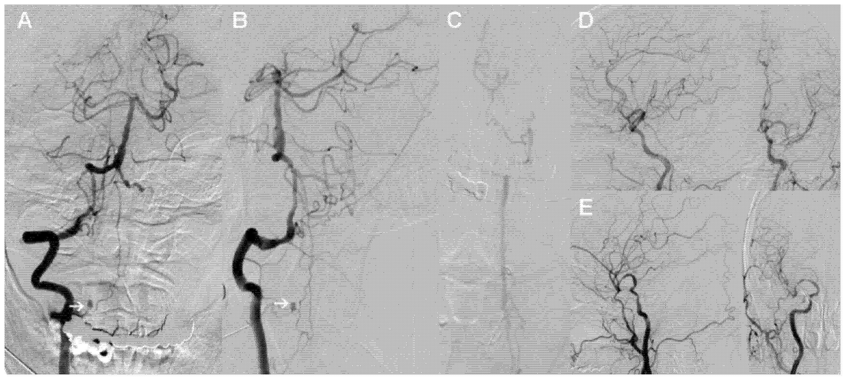 Brainsci 12 00519 g002 Brainsci 12 00519 g002