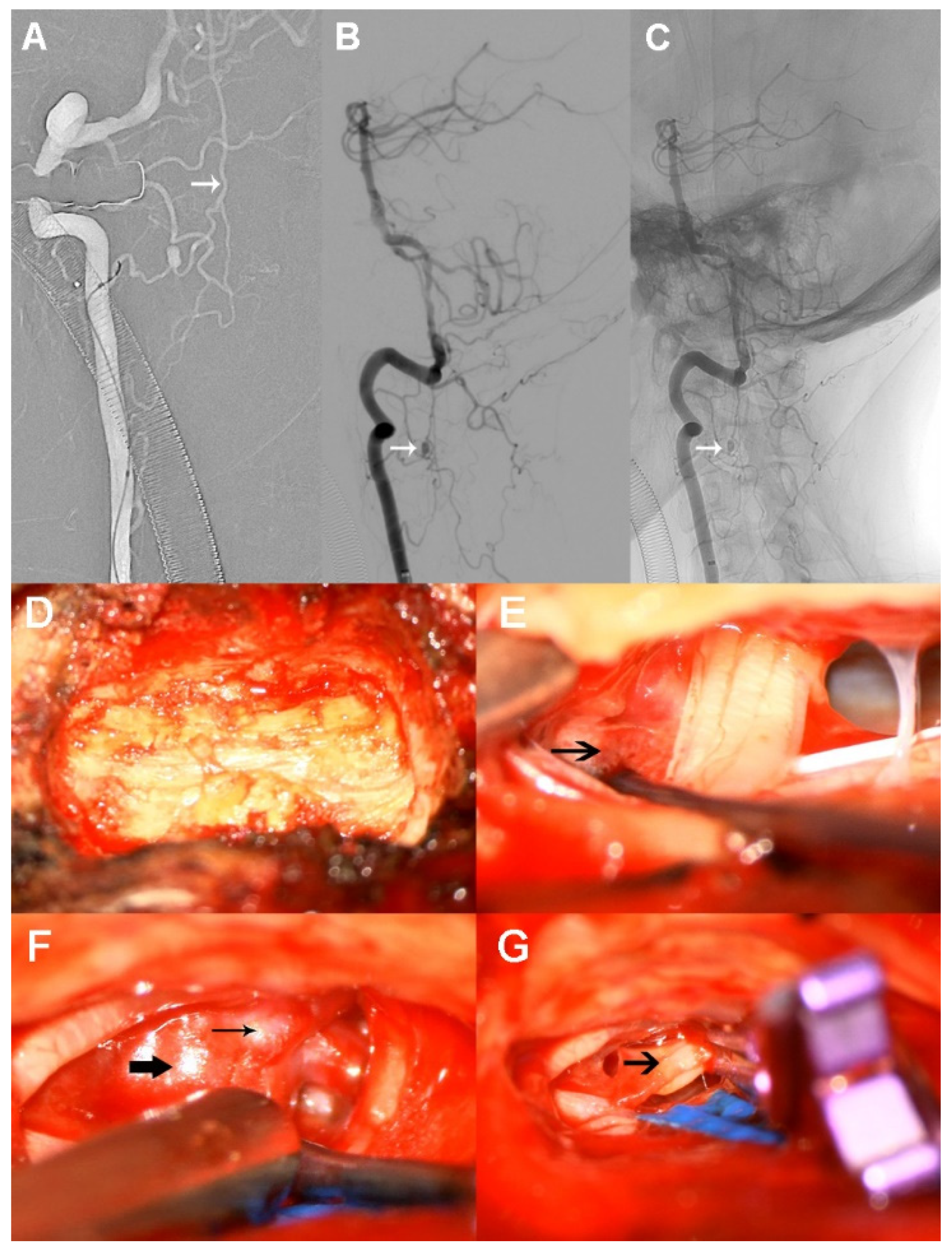 Brainsci 12 00519 g003 Brainsci 12 00519 g003