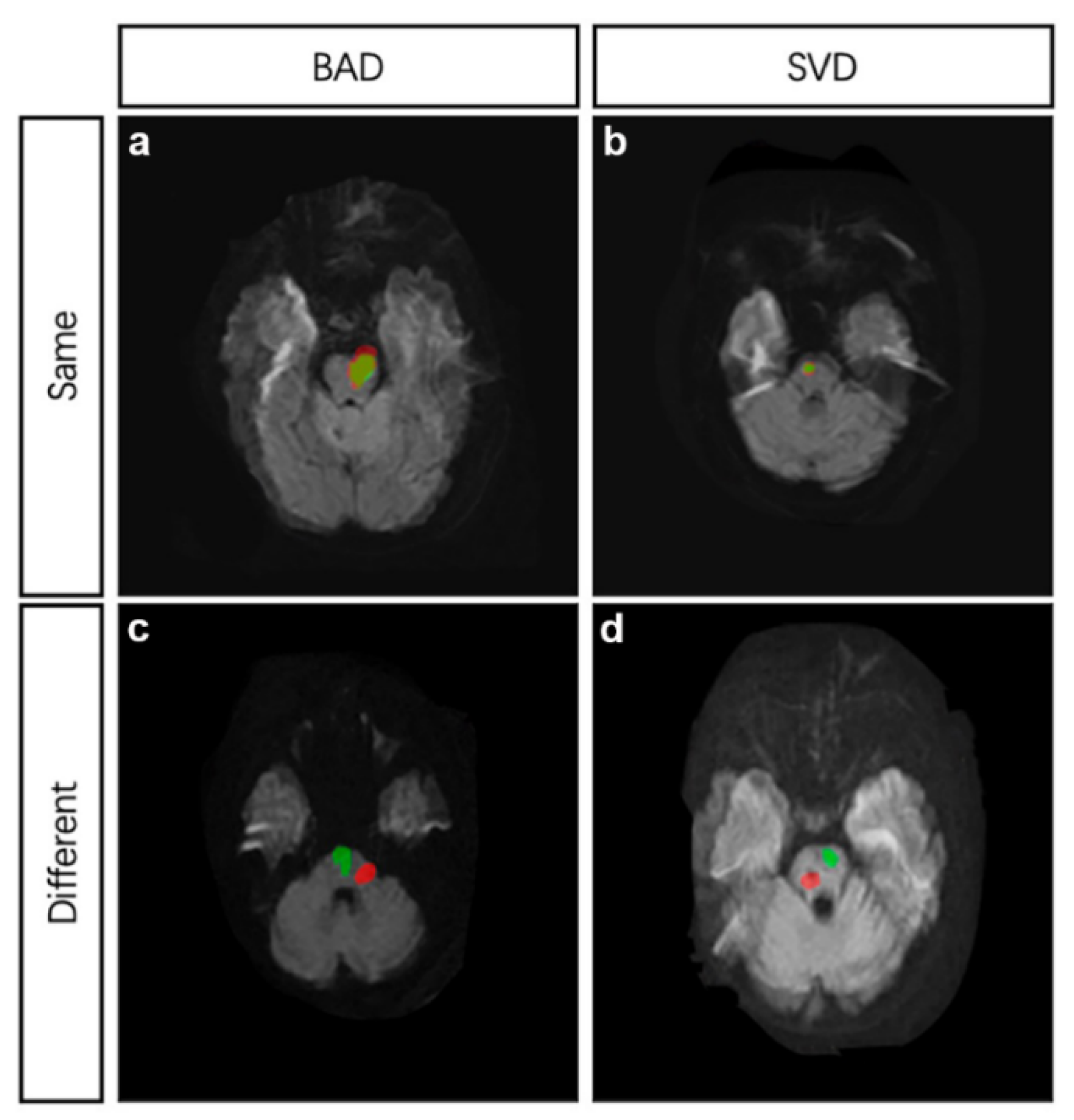 Brainsci 12 00520 g002