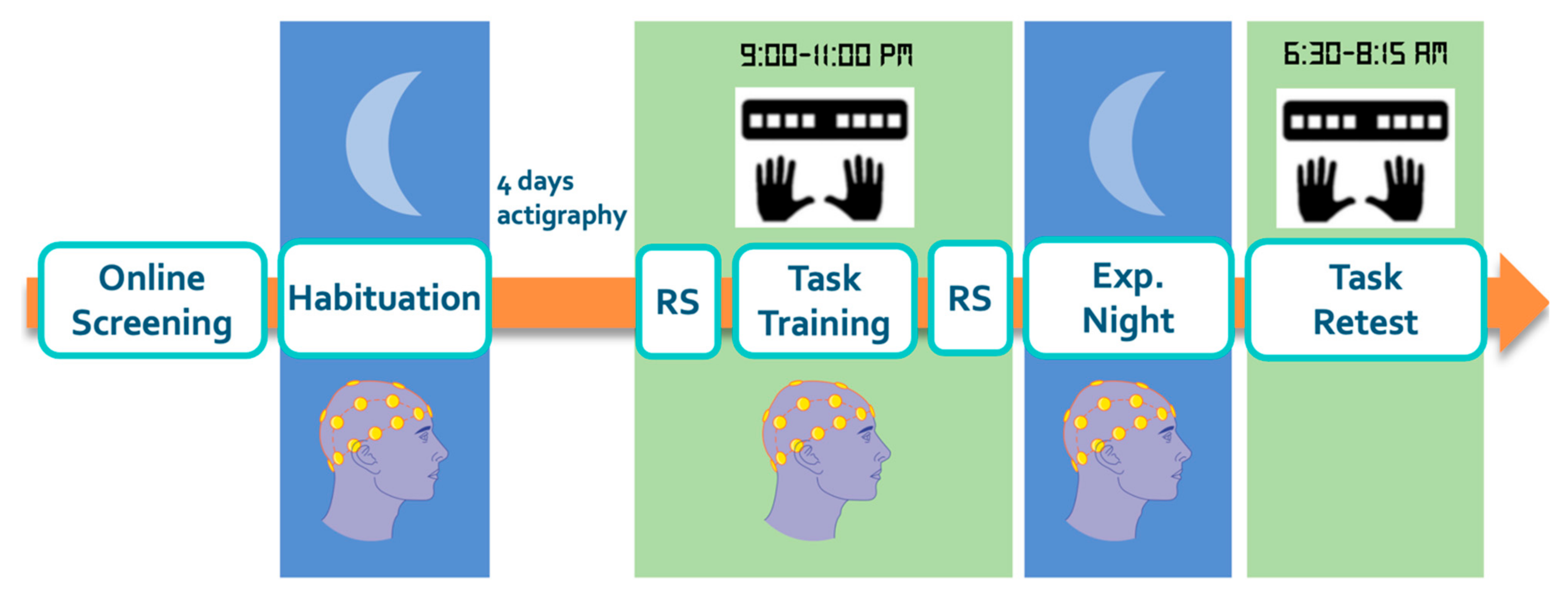 Brainsci 12 00530 g001