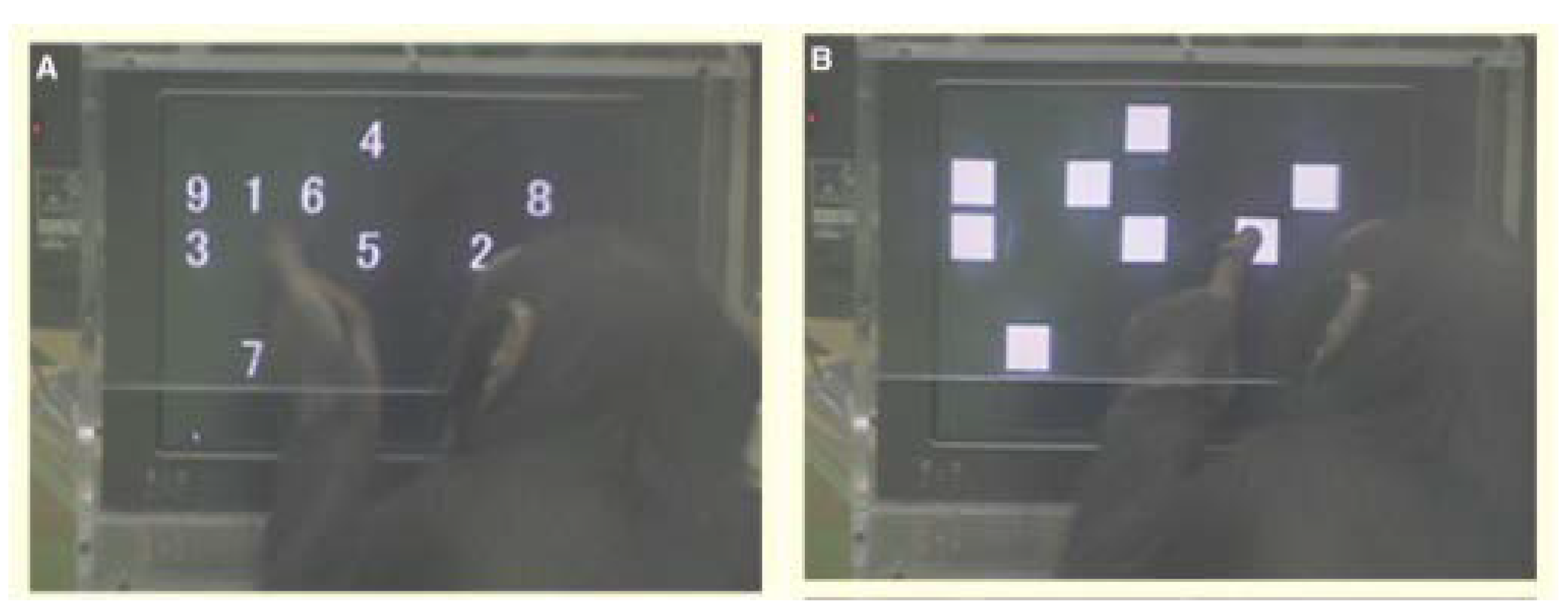 Brainsci 12 00547 g014