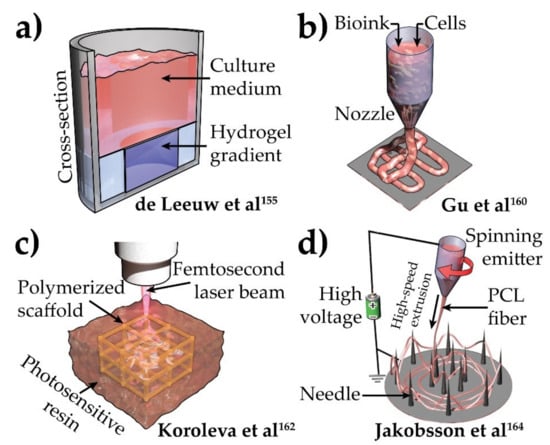 Brainsci 12 00552 g005 550