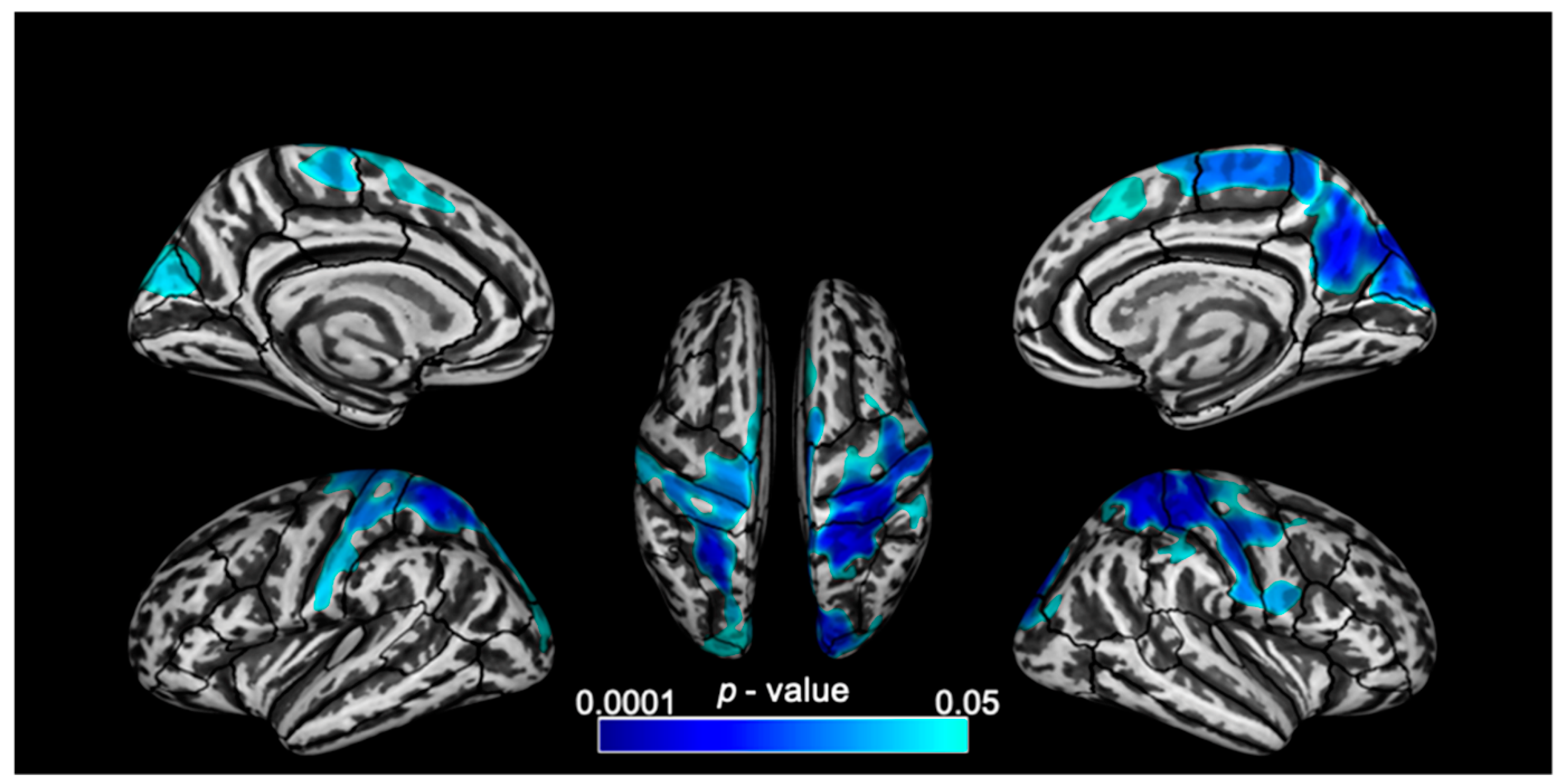 Brainsci 12 00561 g001