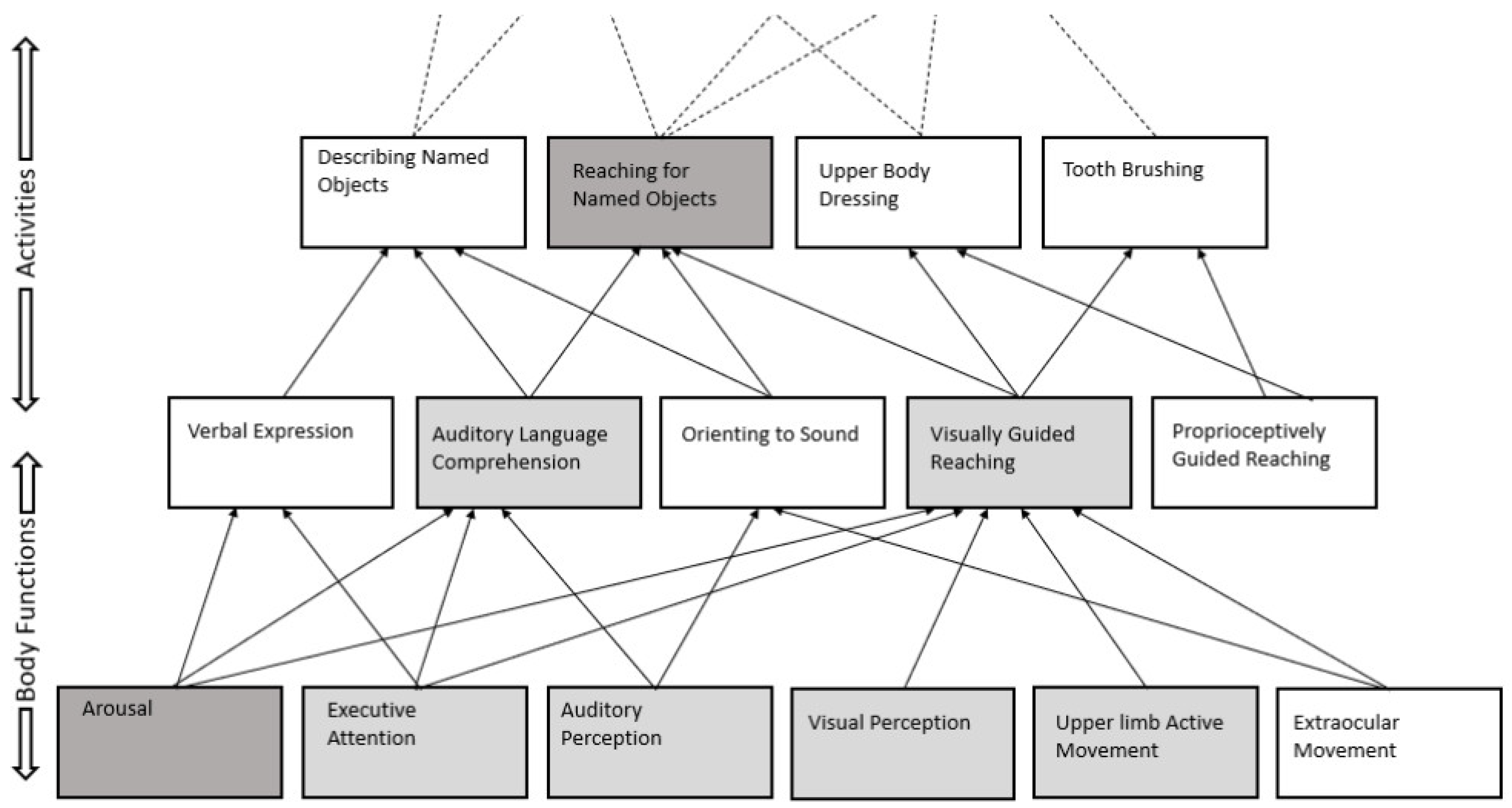 Brainsci 12 00569 g001