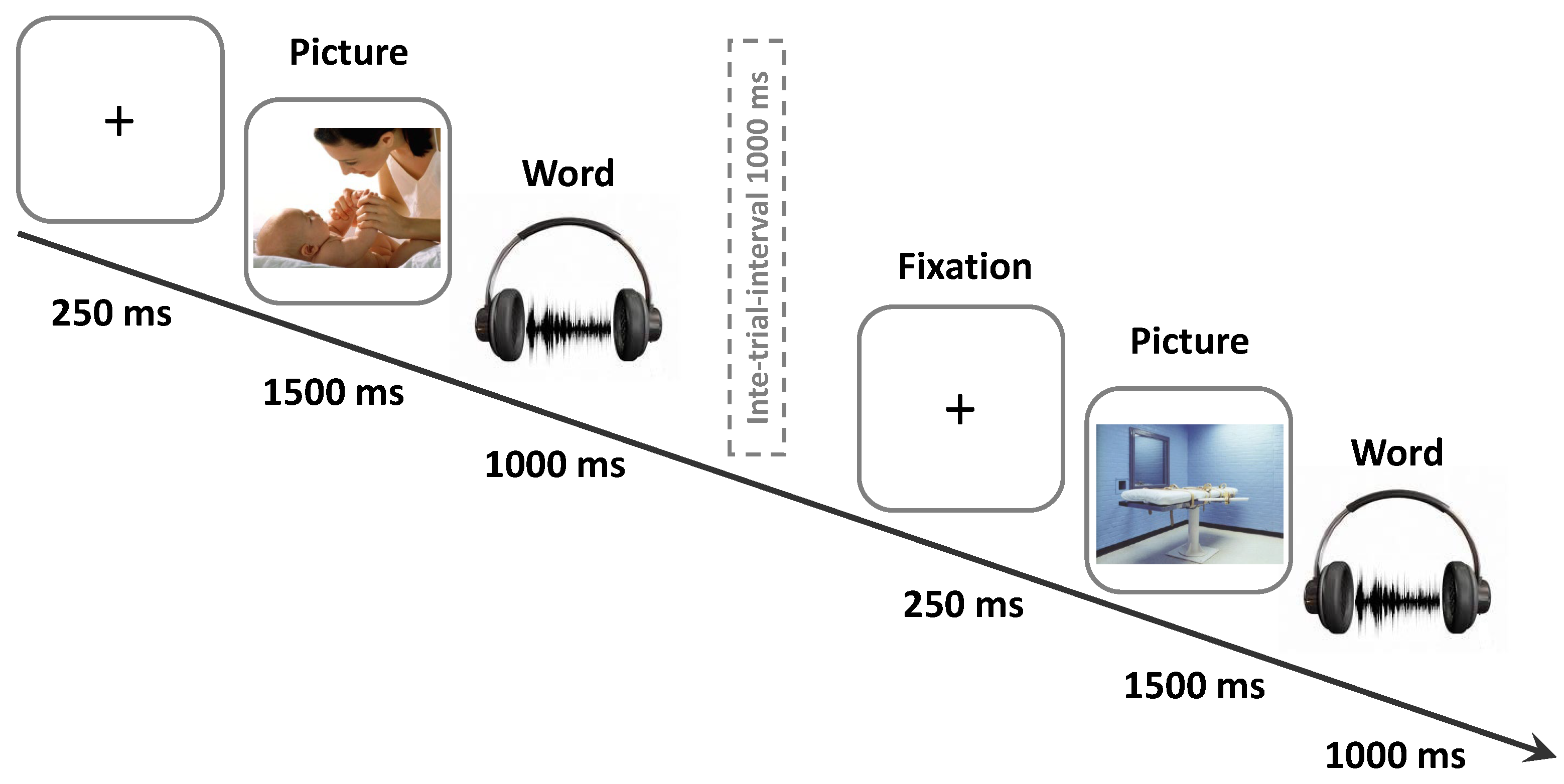 Brainsci 12 00581 g001