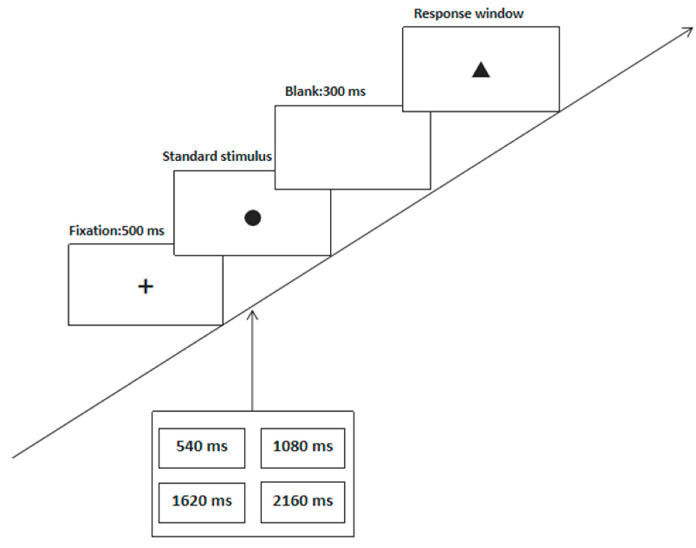 Brainsci 12 00585 g002