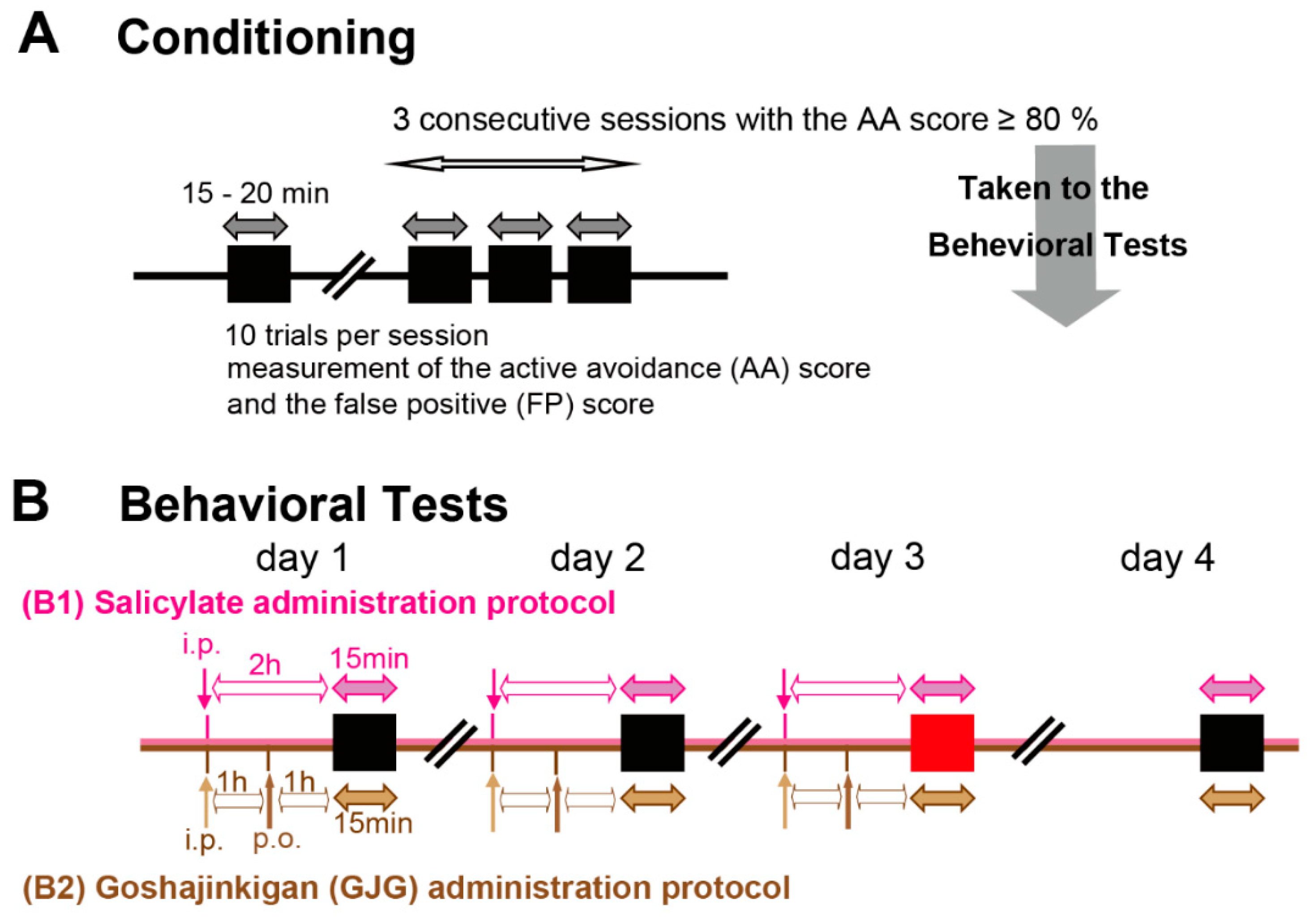 Brainsci 12 00587 g001