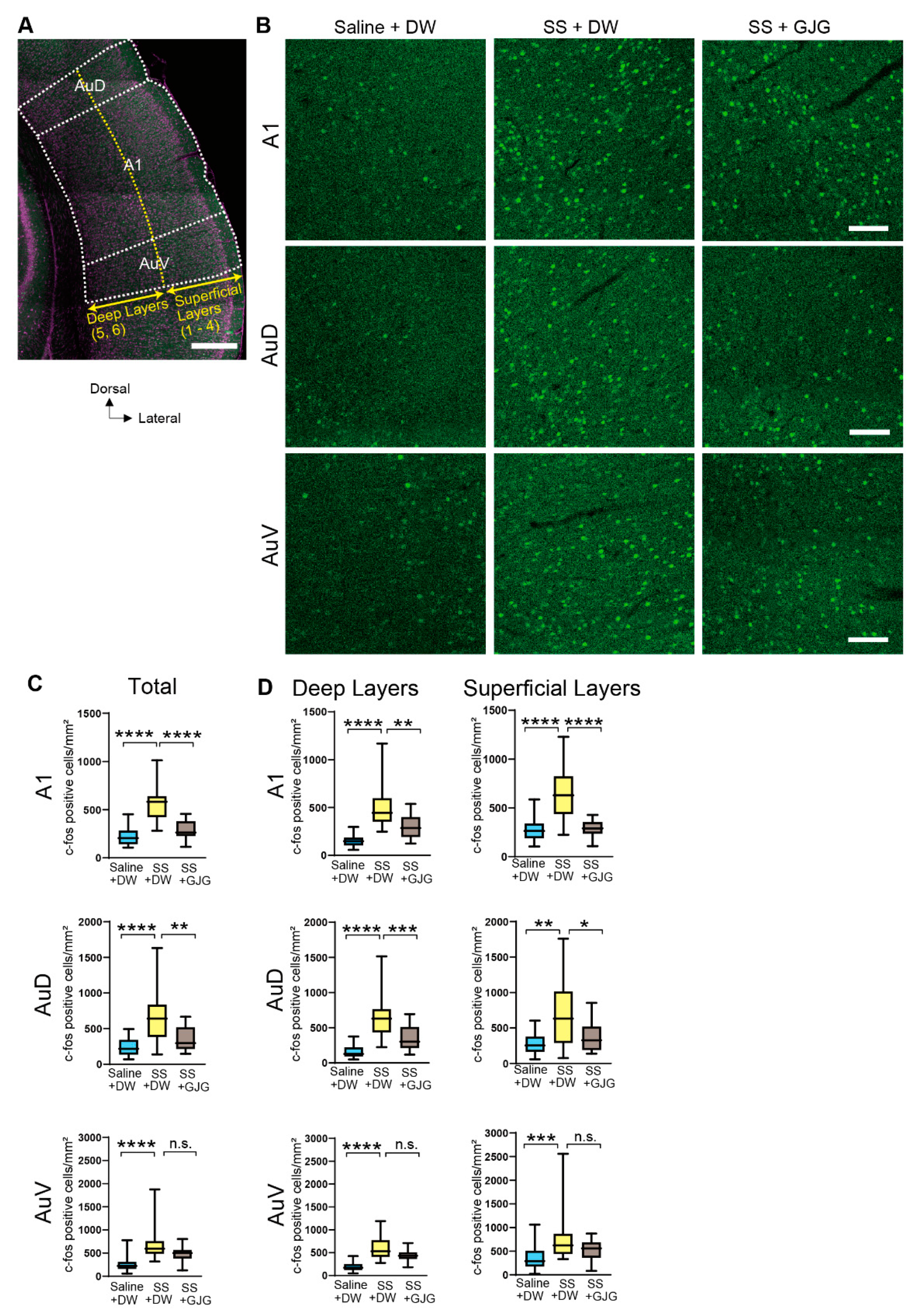 Brainsci 12 00587 g004