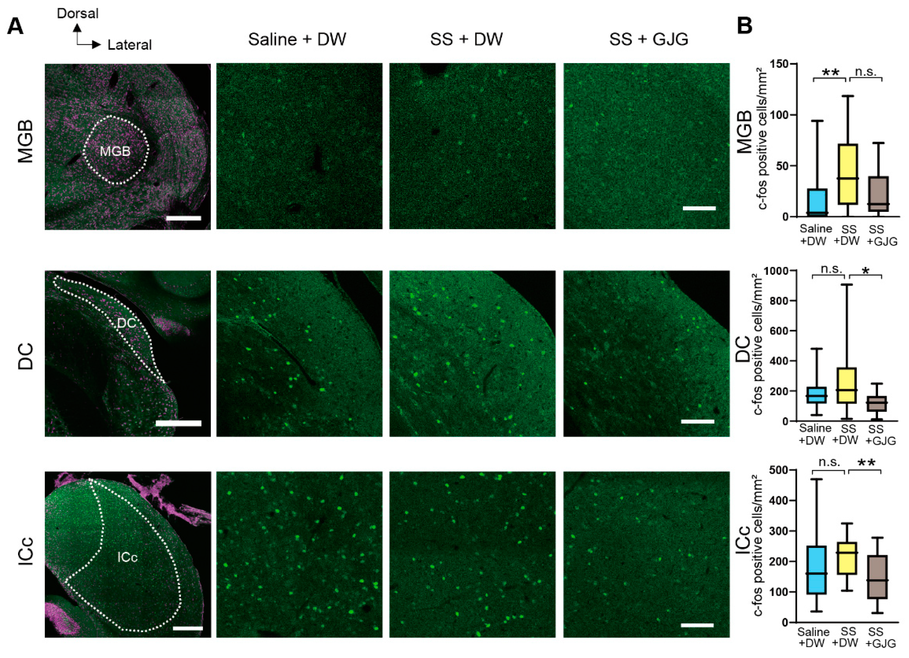 Brainsci 12 00587 g005
