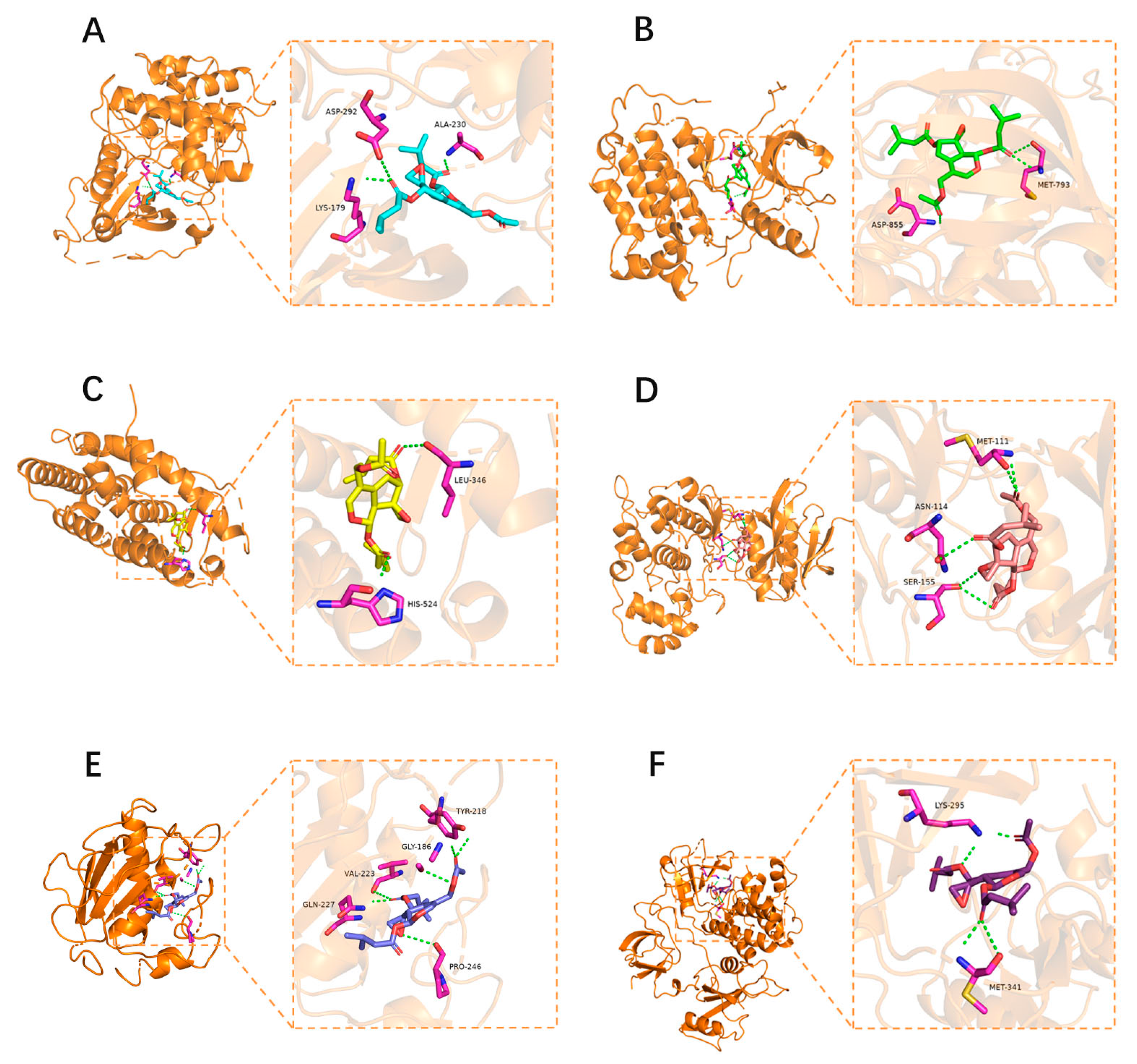 Brainsci 12 00589 g005