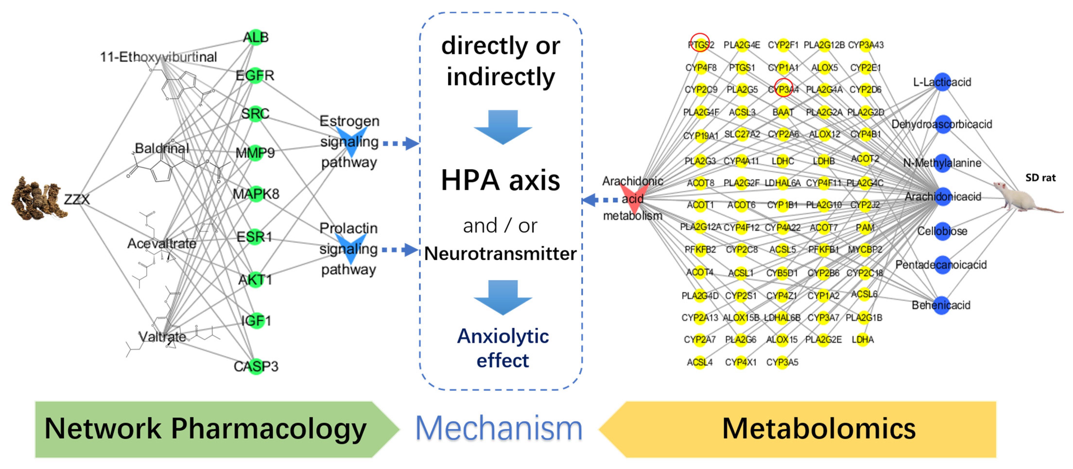 Brainsci 12 00589 g009