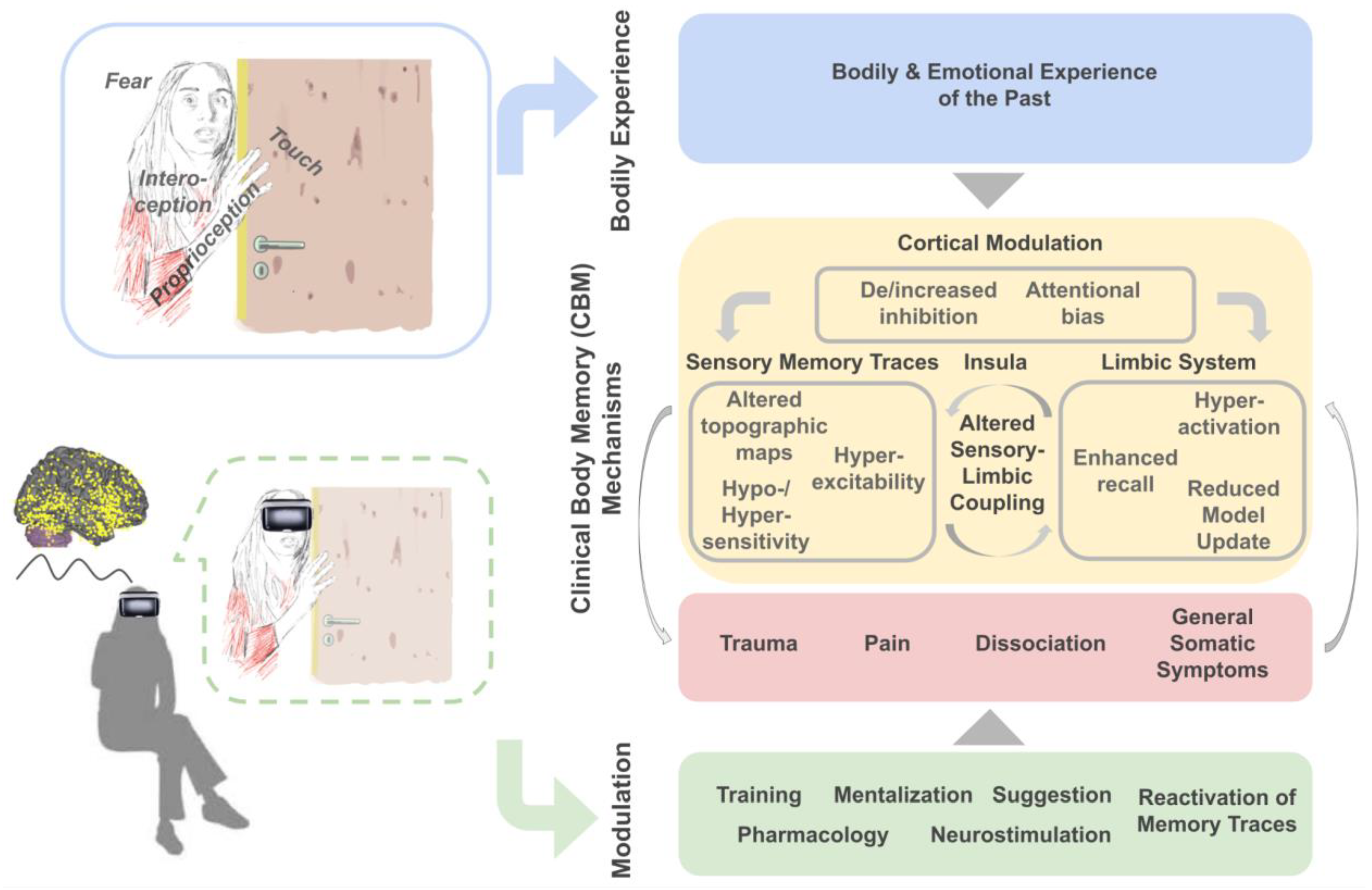 Brainsci 12 00594 g001