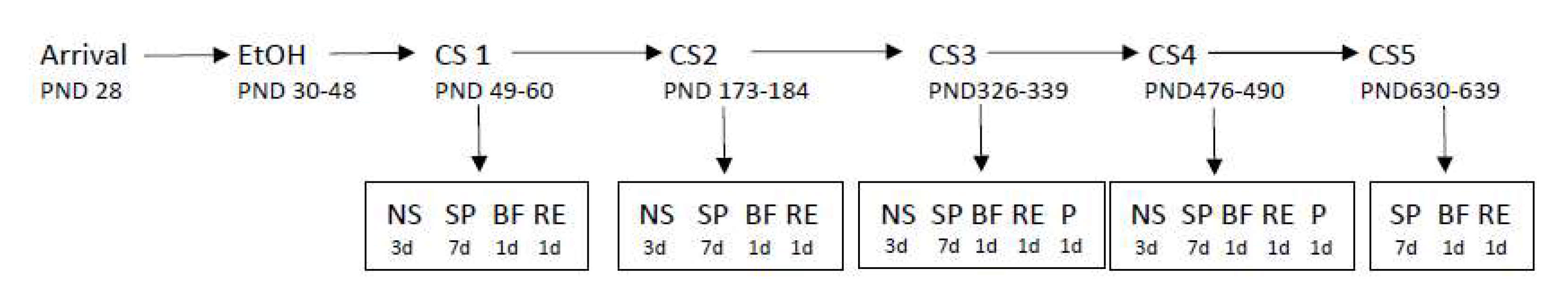 Brainsci 12 00606 g001