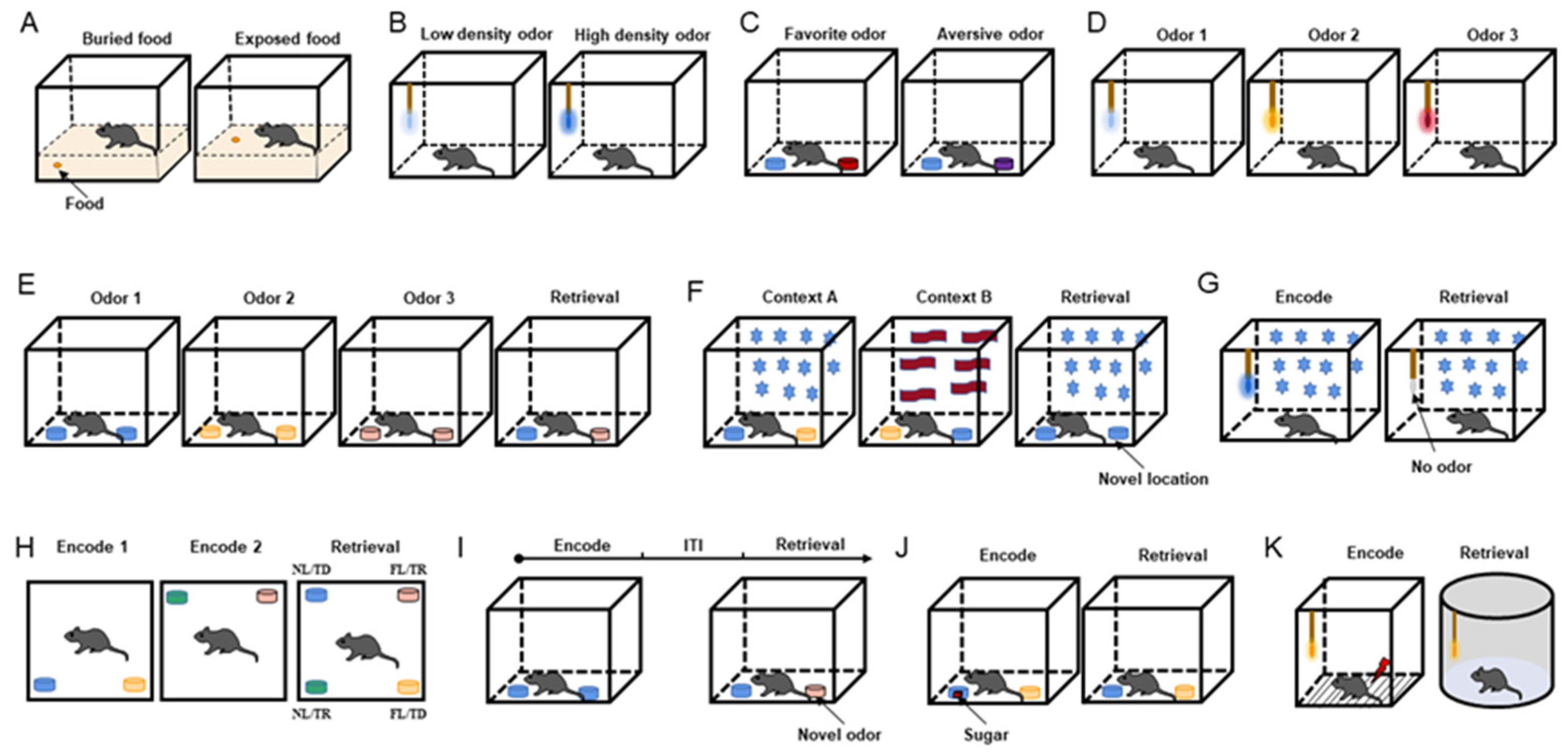 Brainsci 12 00607 g001
