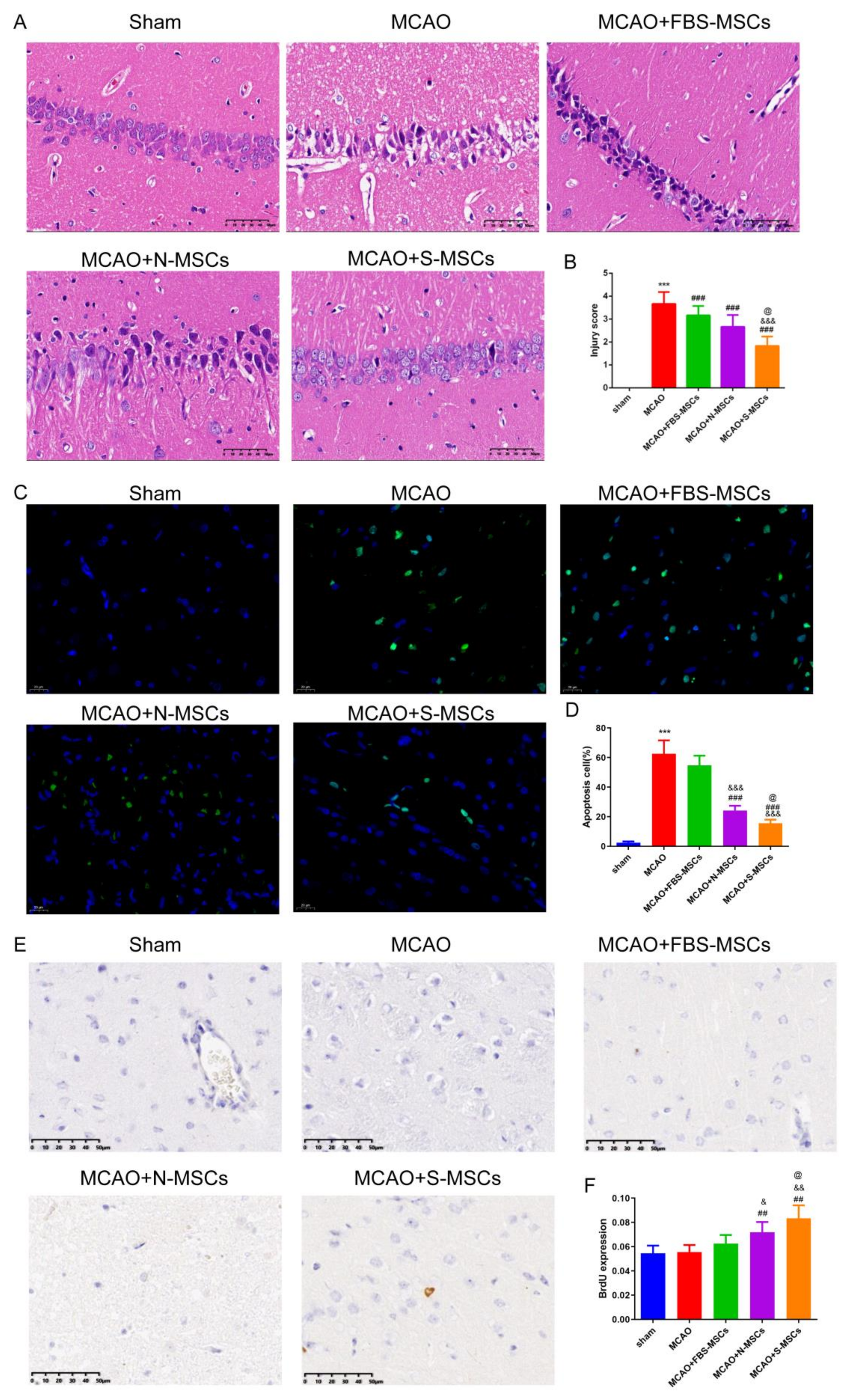 Brainsci 12 00631 g006