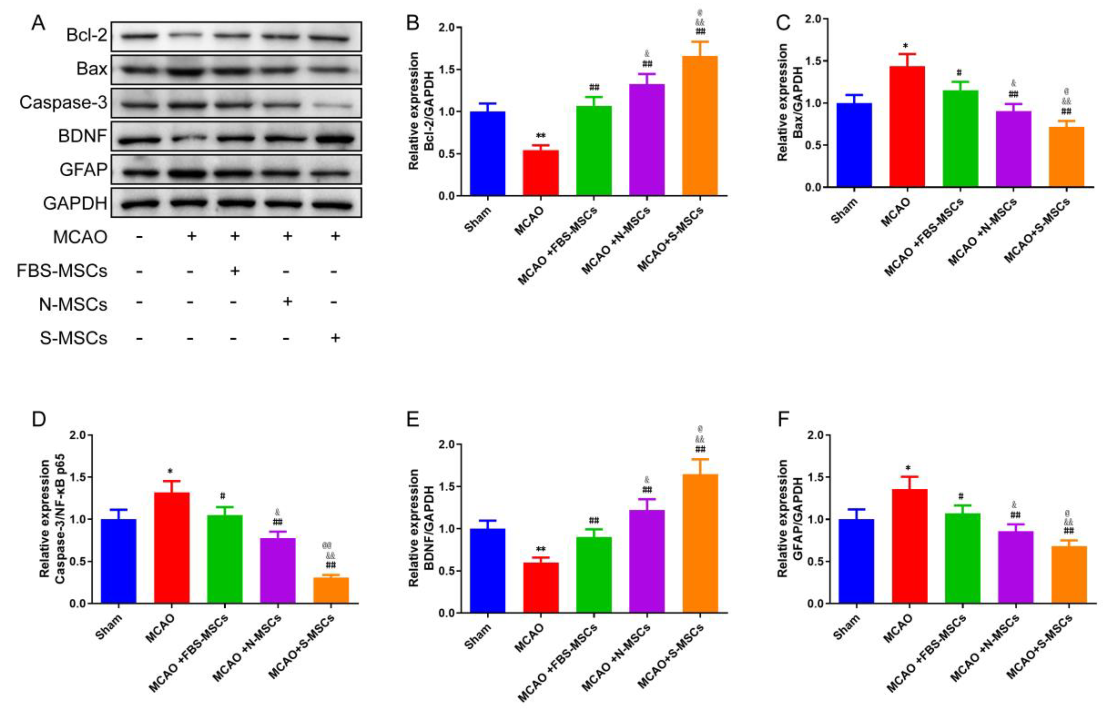 Brainsci 12 00631 g008