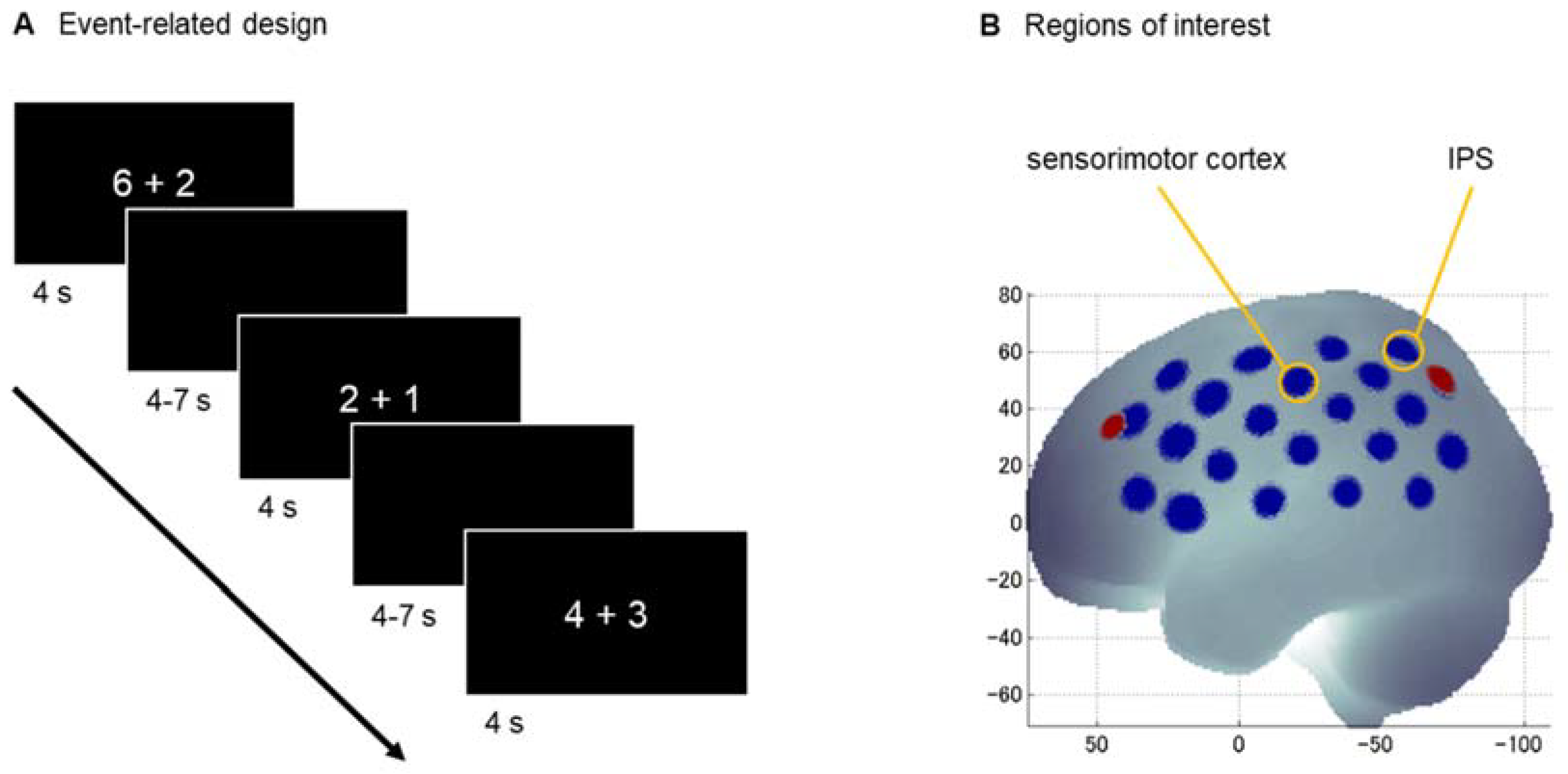 Brainsci 12 00637 g001