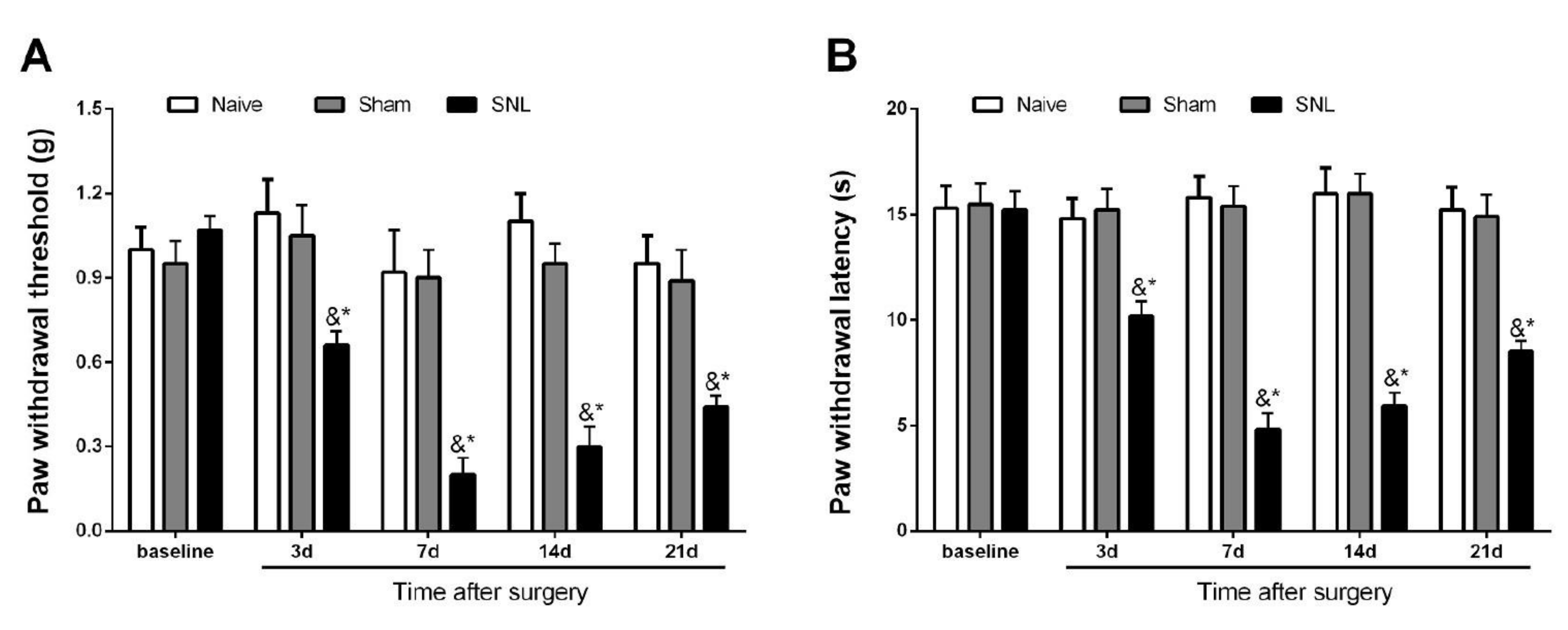 Brainsci 12 00648 g001
