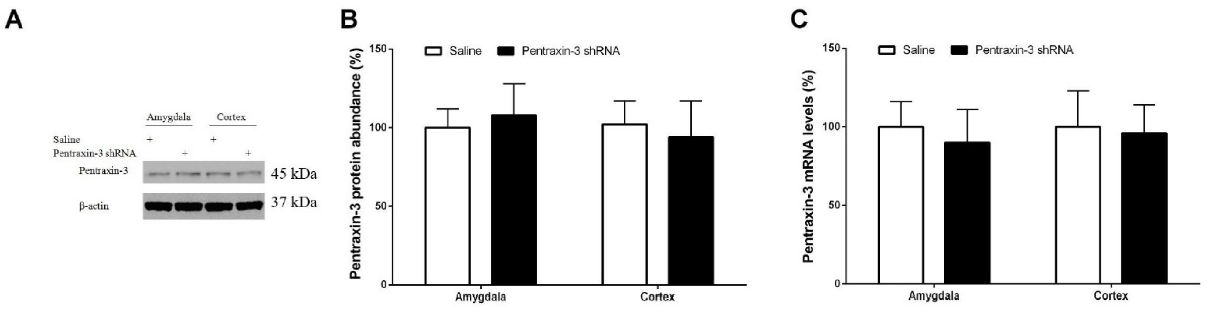 Brainsci 12 00648 g005