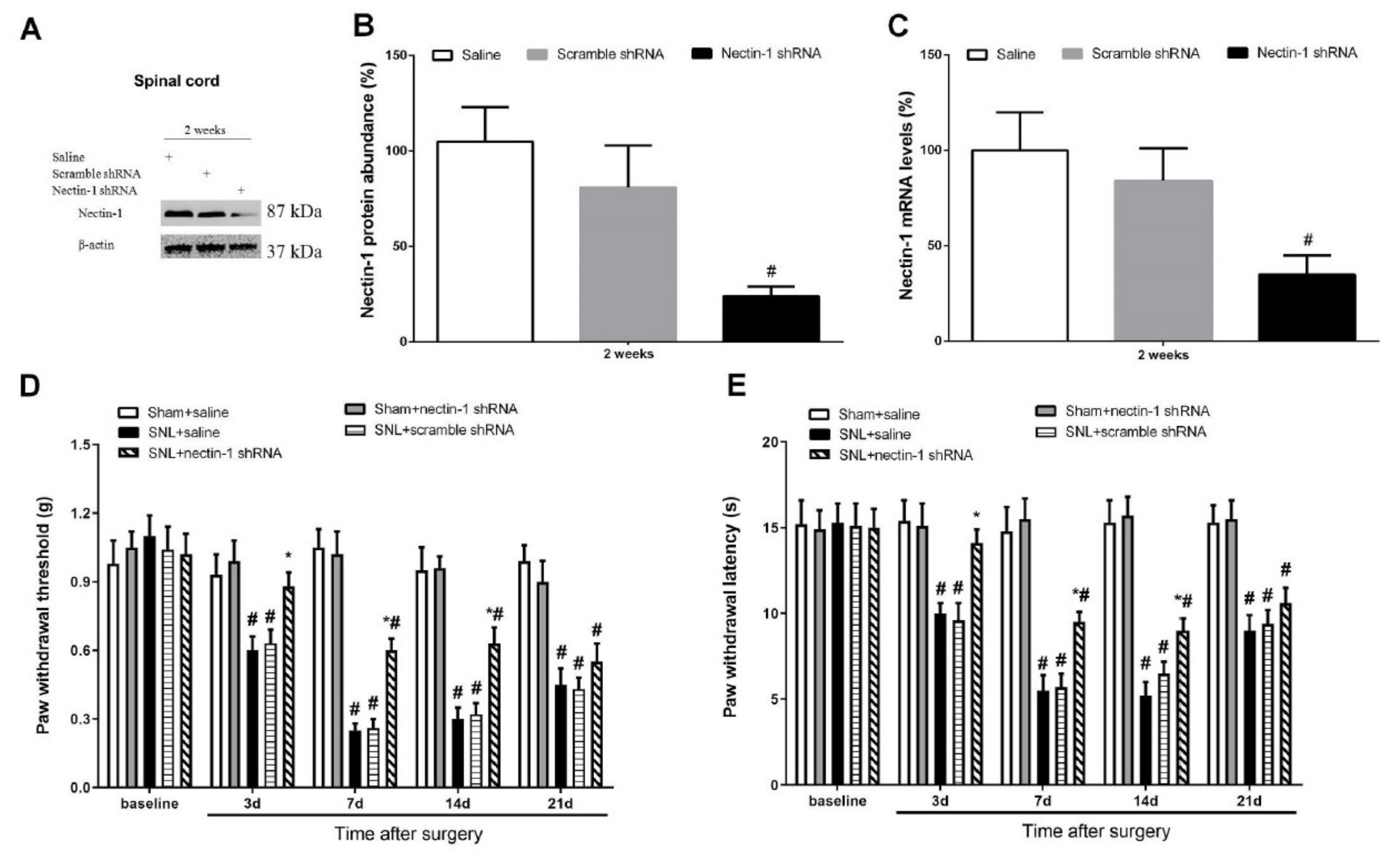 Brainsci 12 00648 g006