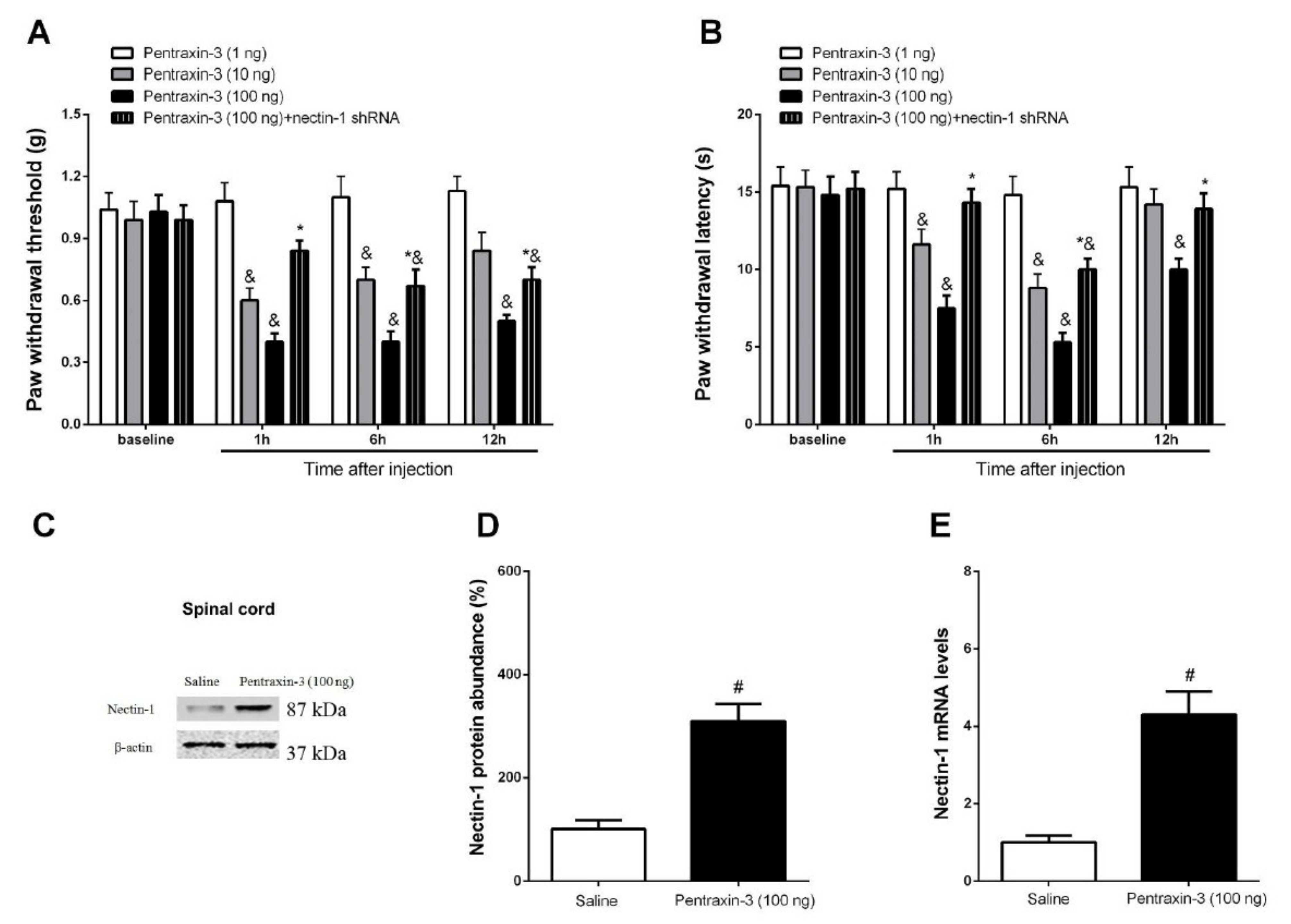 Brainsci 12 00648 g008