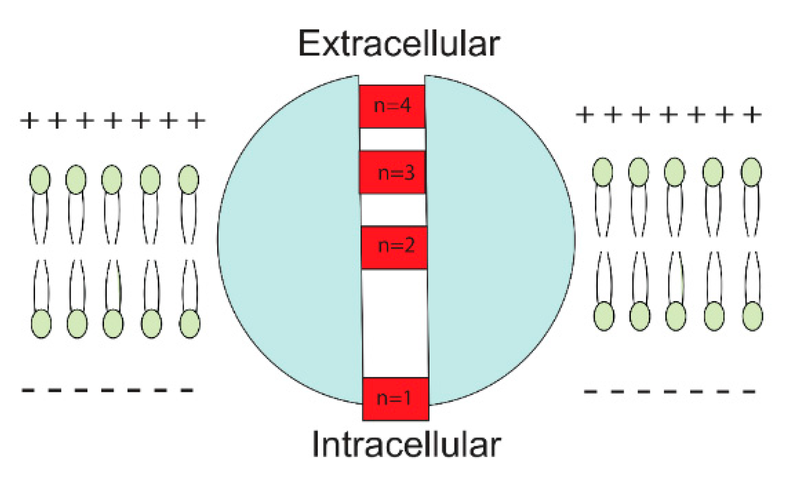 Brainsci 12 00658 g003