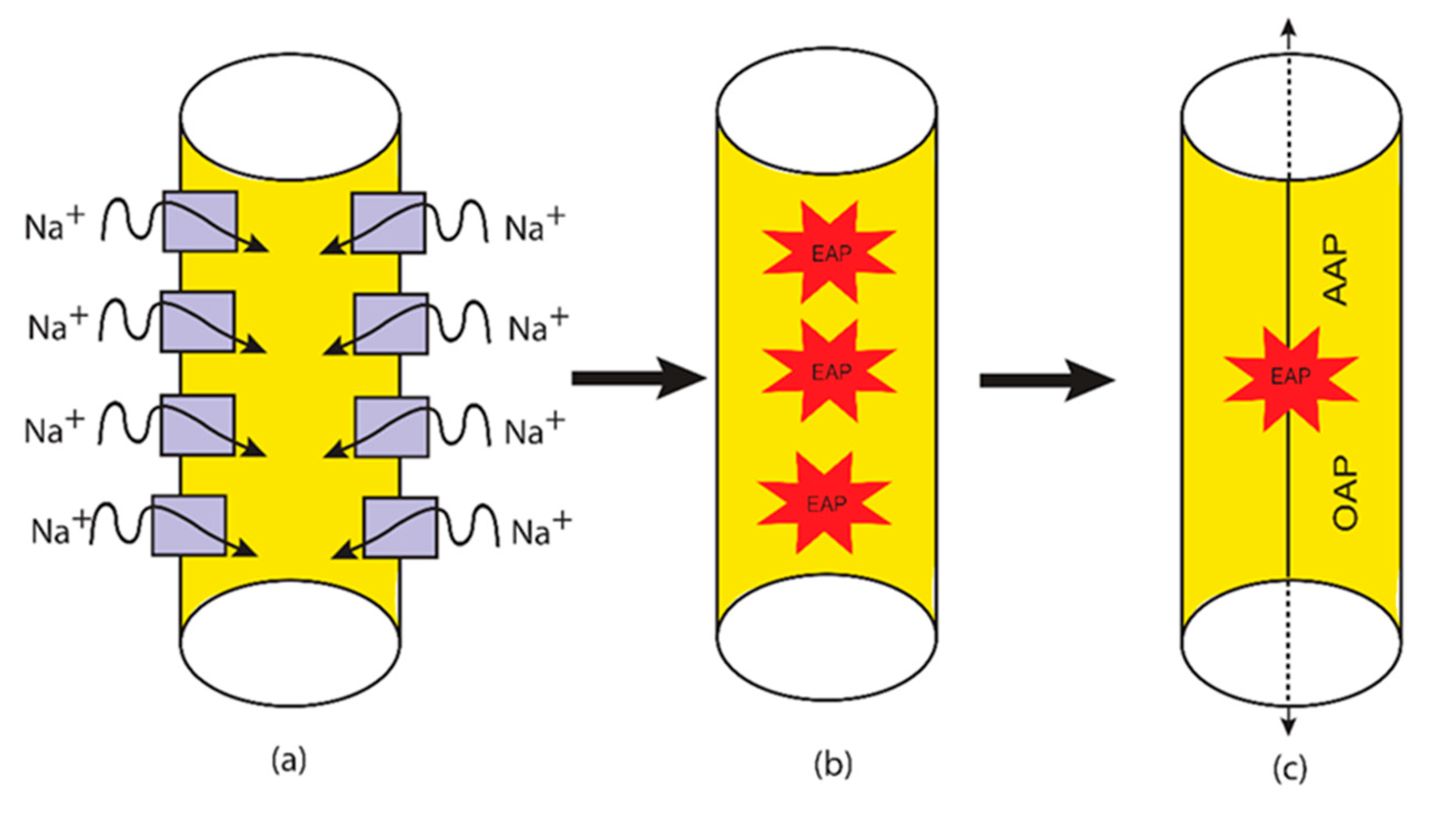 Brainsci 12 00658 g006
