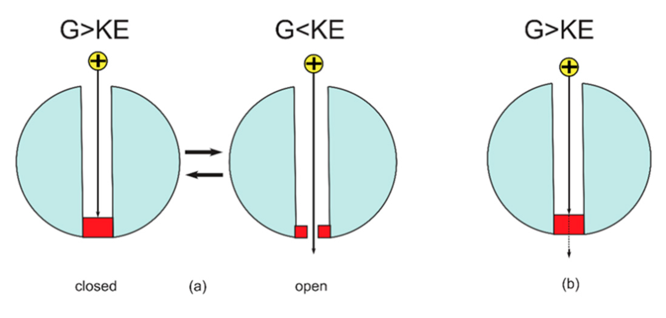 Brainsci 12 00658 g007