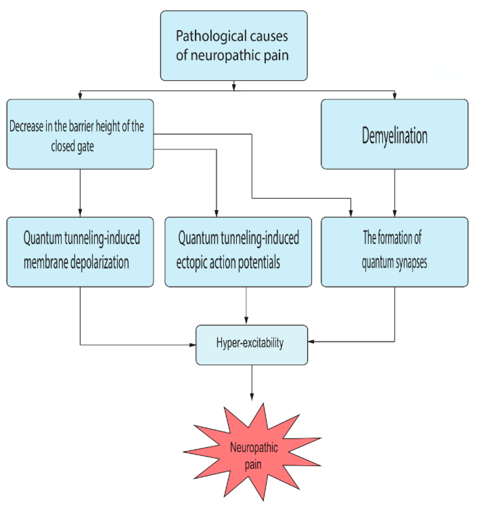 Brainsci 12 00658 g017