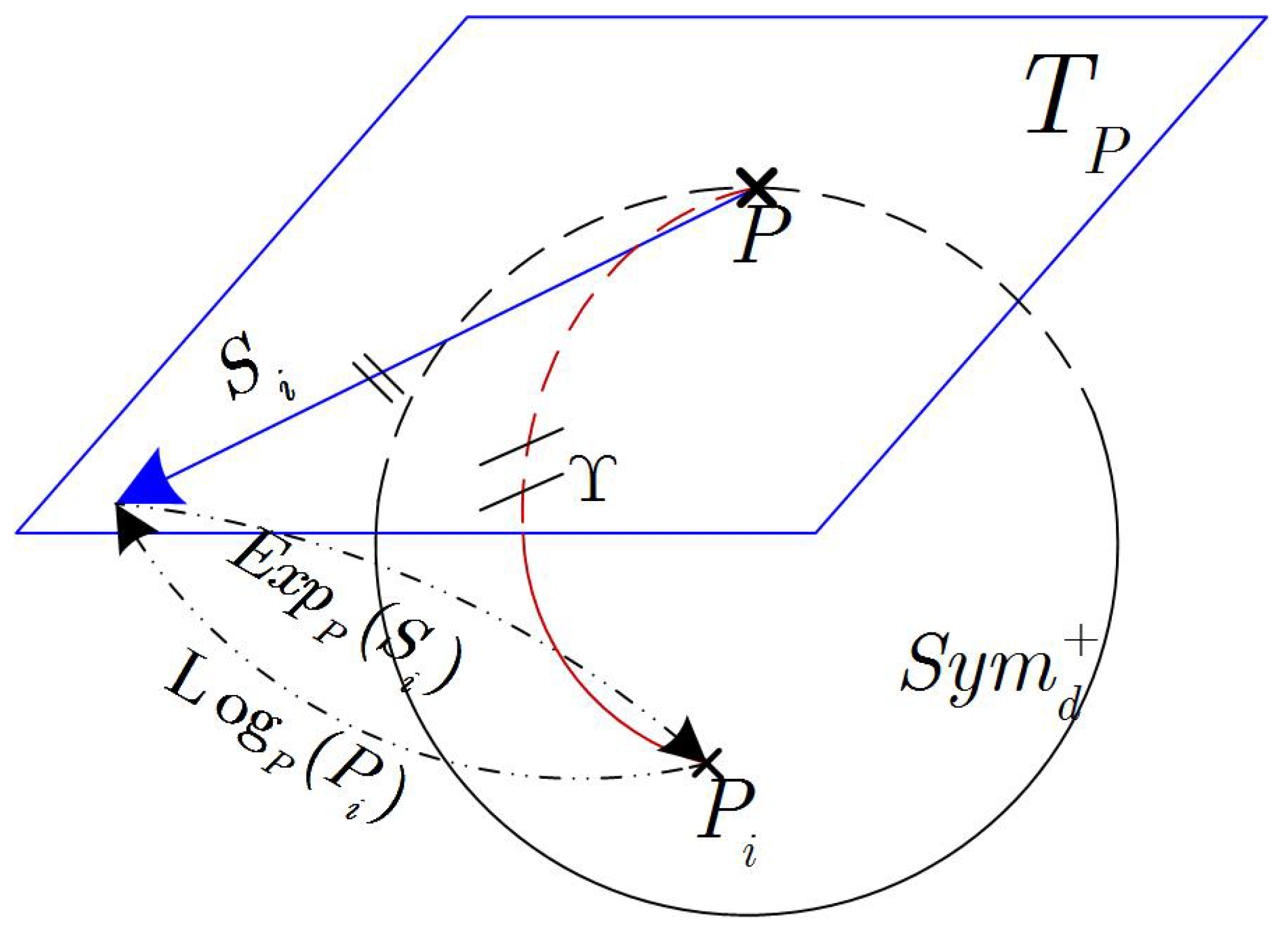 Brainsci 12 00659 g001