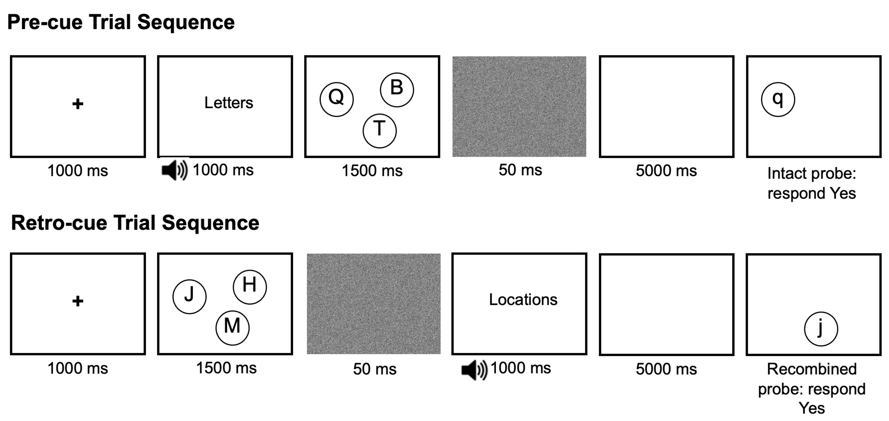 Brainsci 12 00685 g001