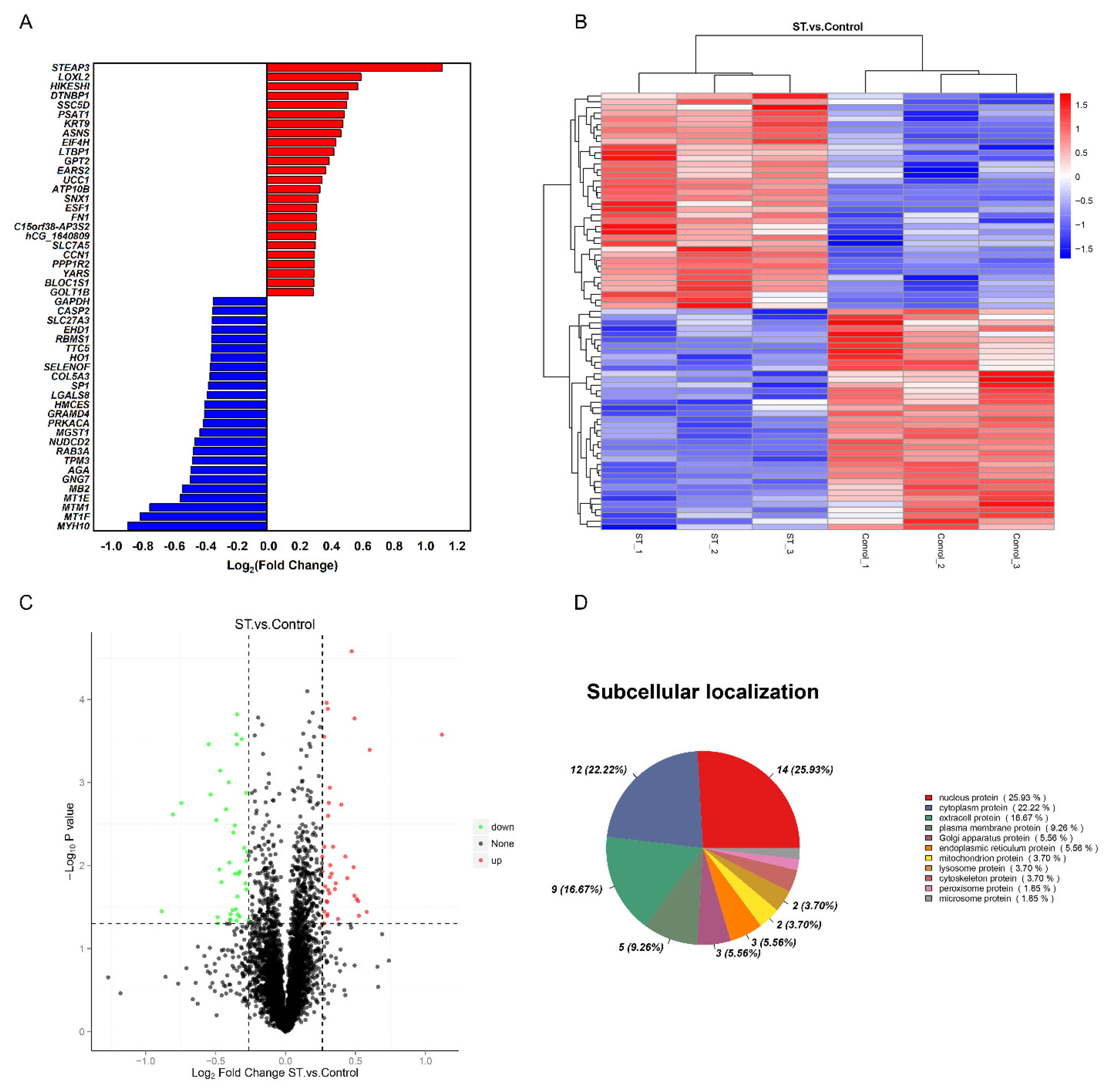 Brainsci 12 00690 g001
