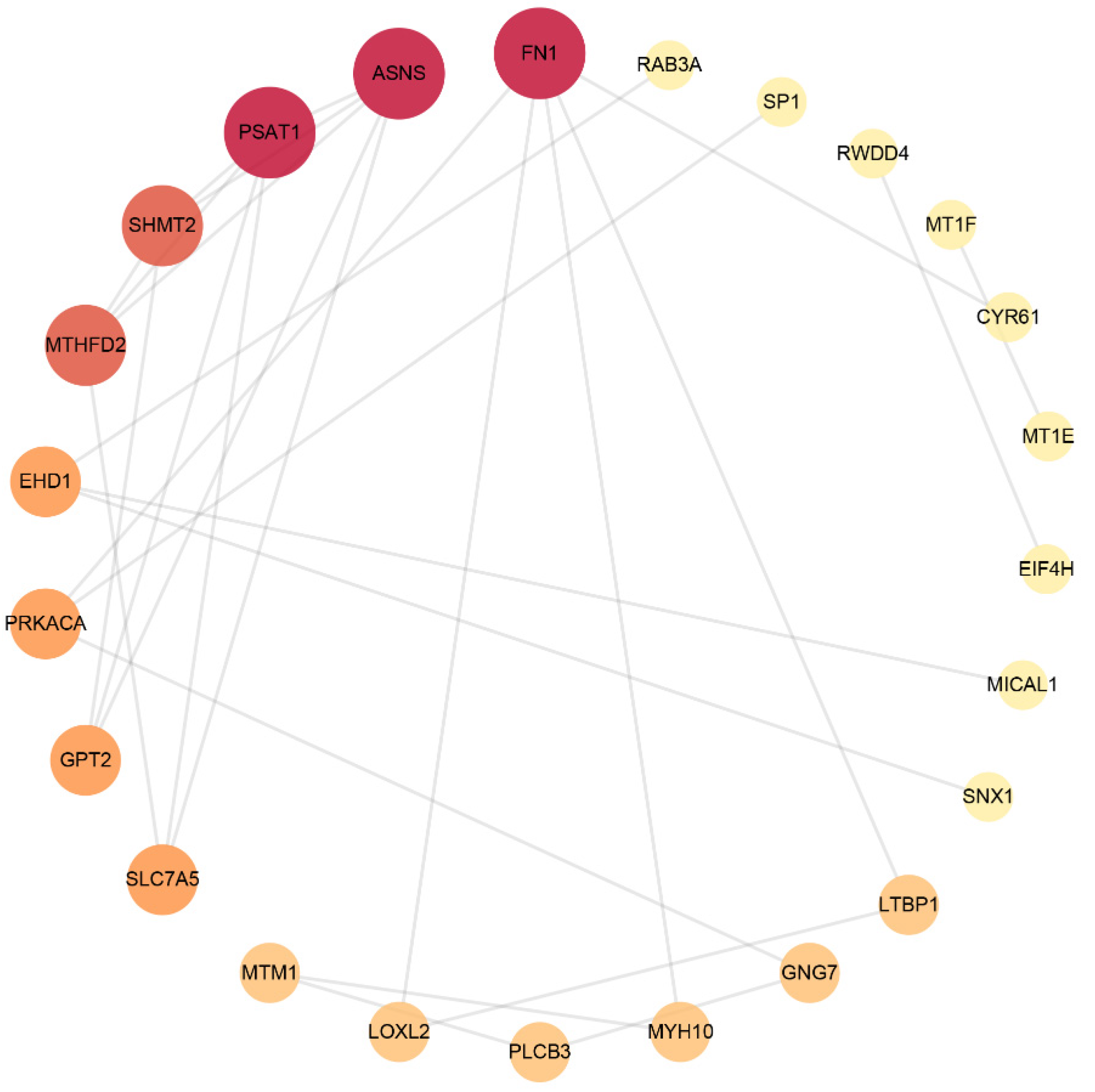Brainsci 12 00690 g002